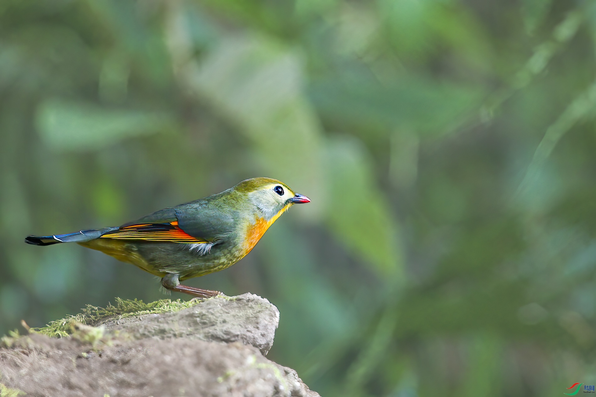 a_7568-1.jpg