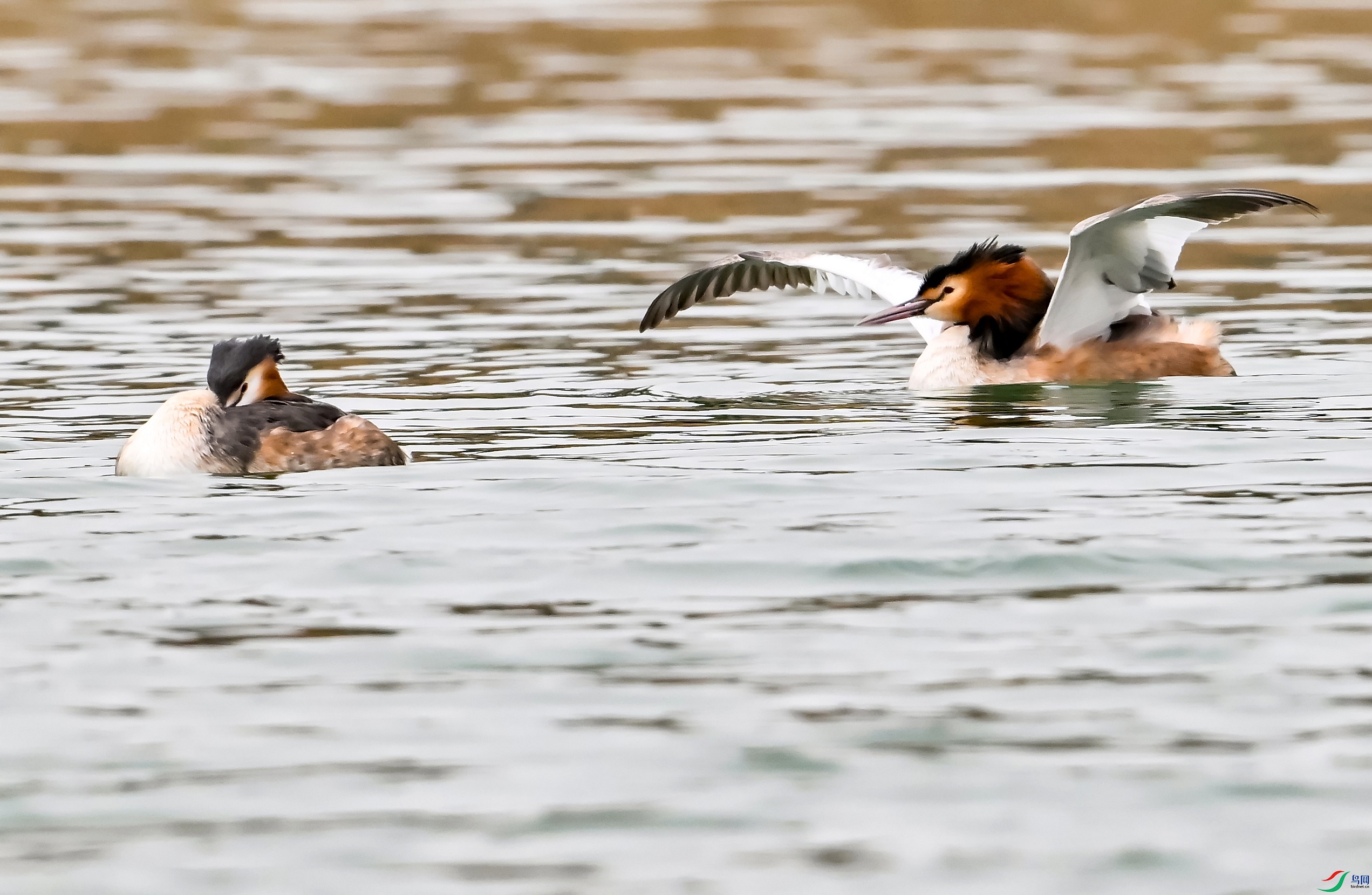 DSC_2214ʾ��.jpg