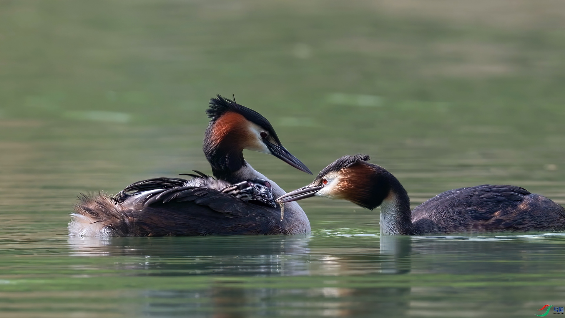 ��֡ 2026-04-02 165742_1.1.jpg