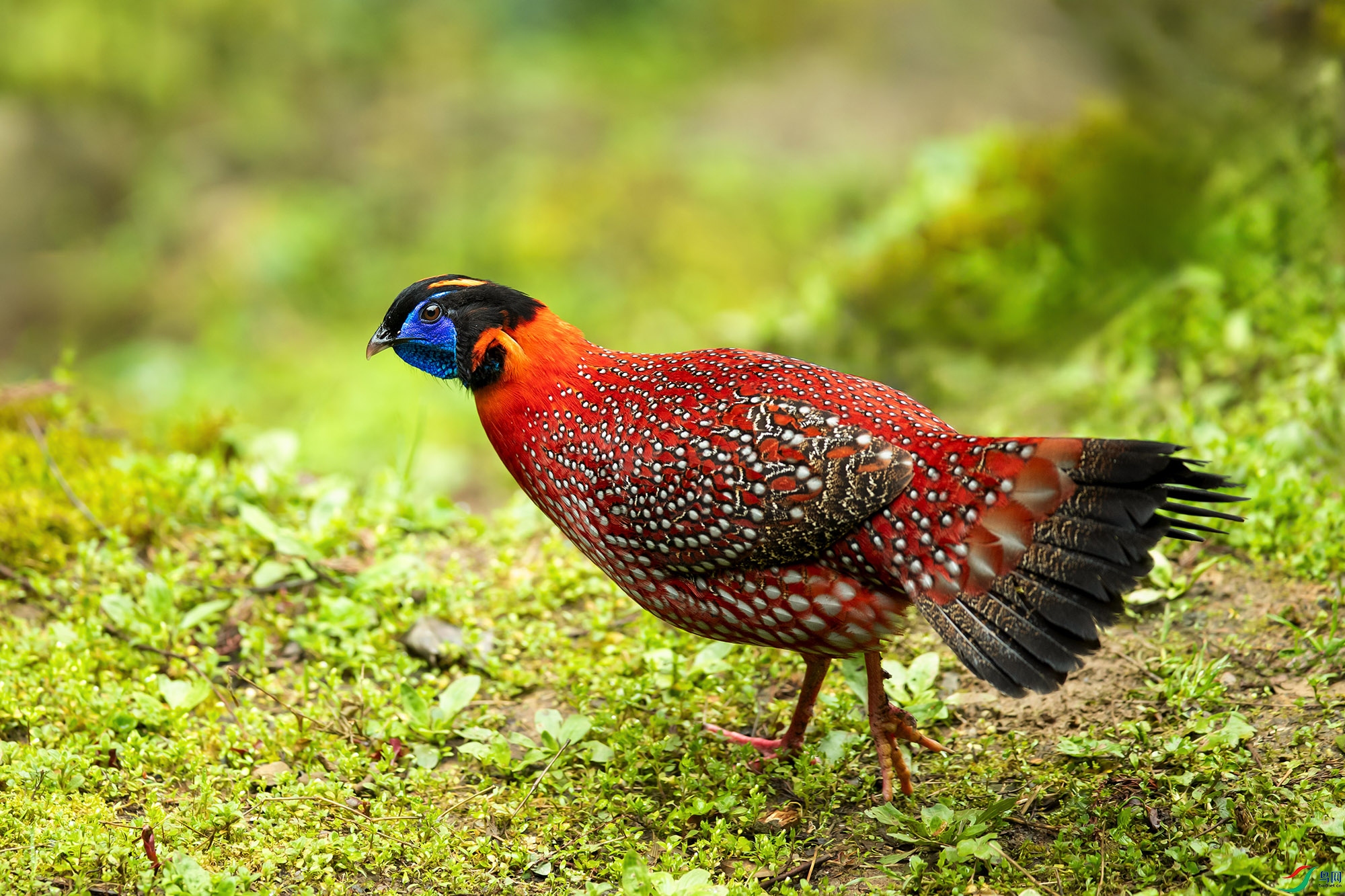 _U4I24�츹����56 ���� 2.jpg