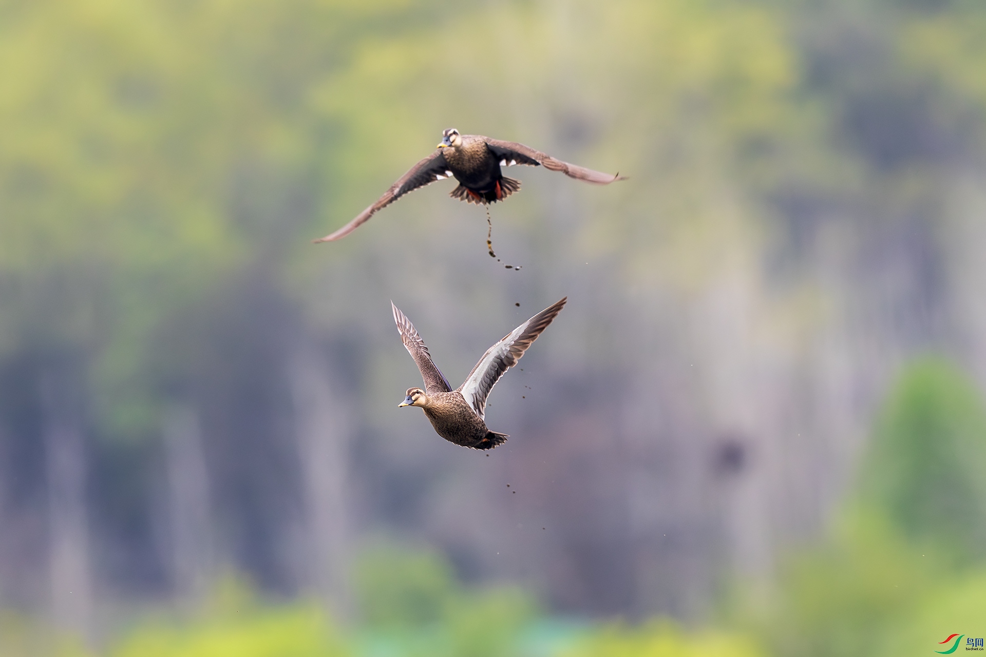 _F9A9637 ����.jpg