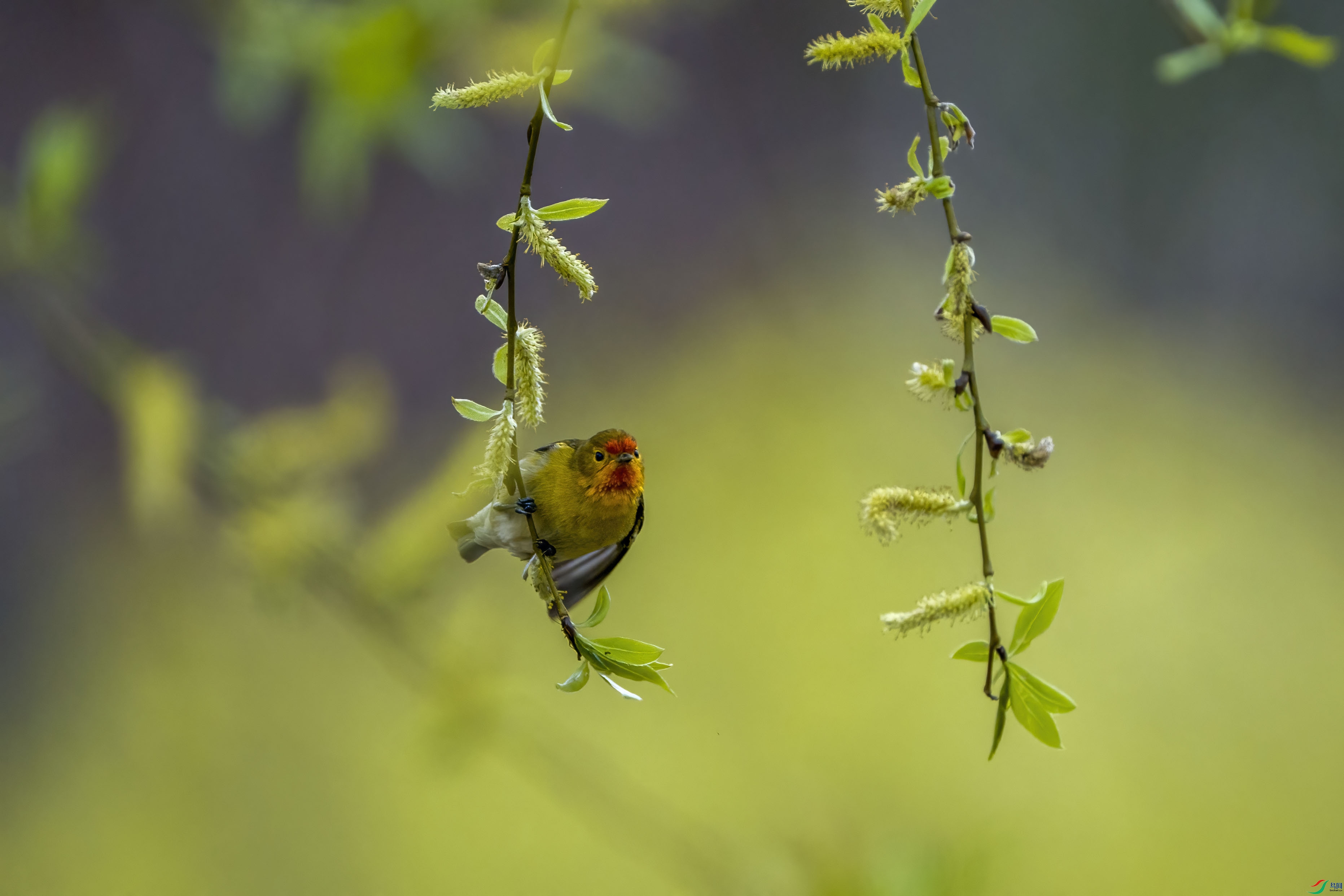 _DSC6054 ����.jpg