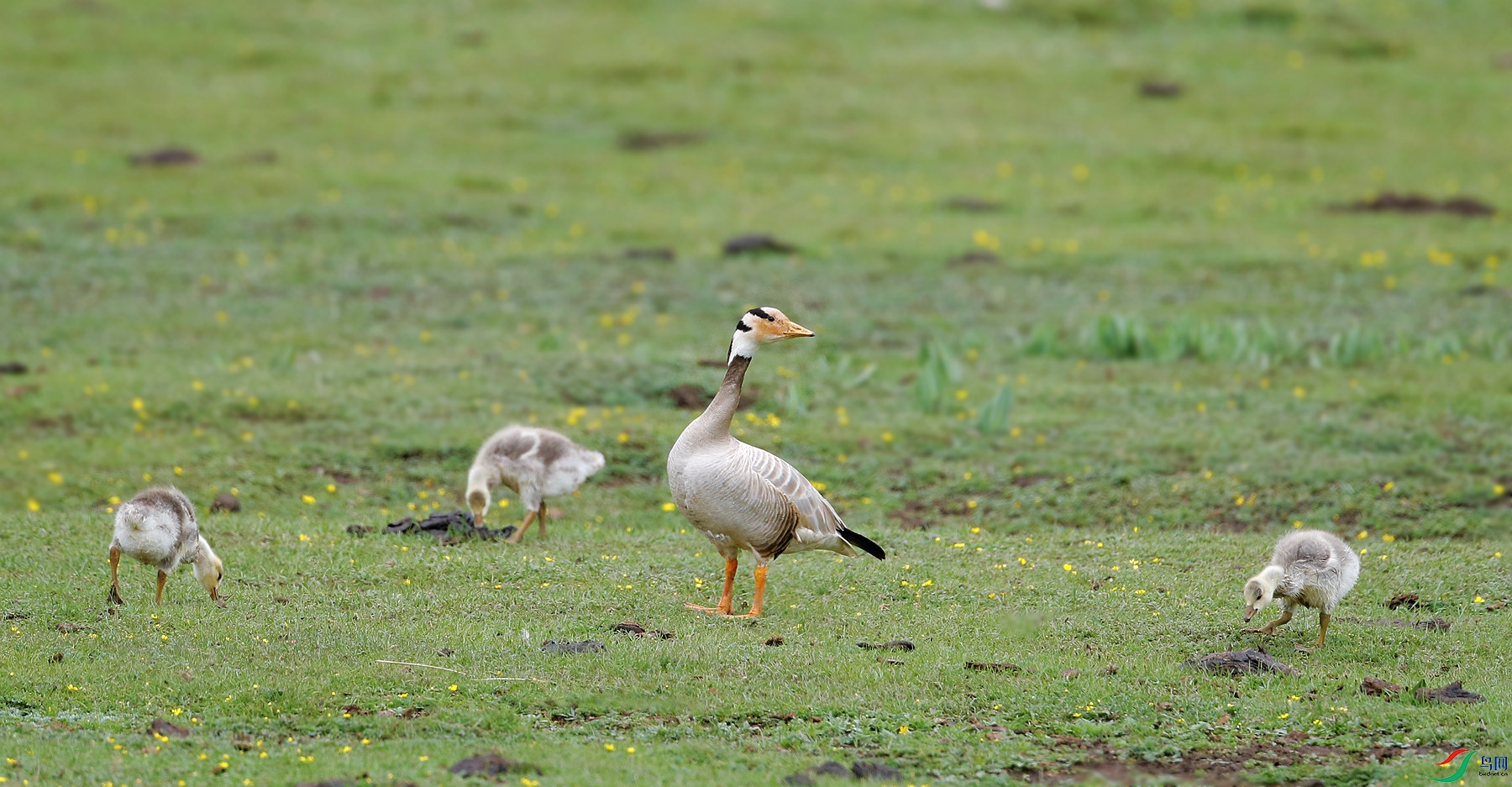 _E2I0267_����.jpg