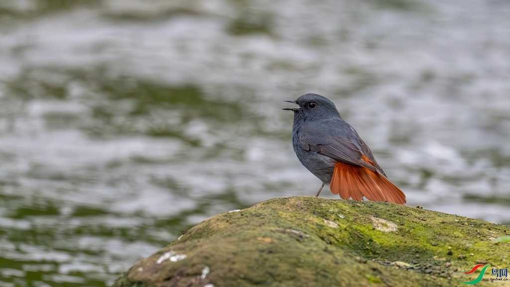 DSC_1574_����.jpg