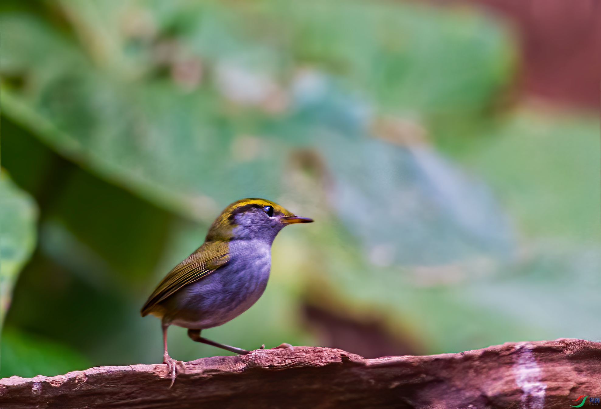 _DSC8905-1.jpg