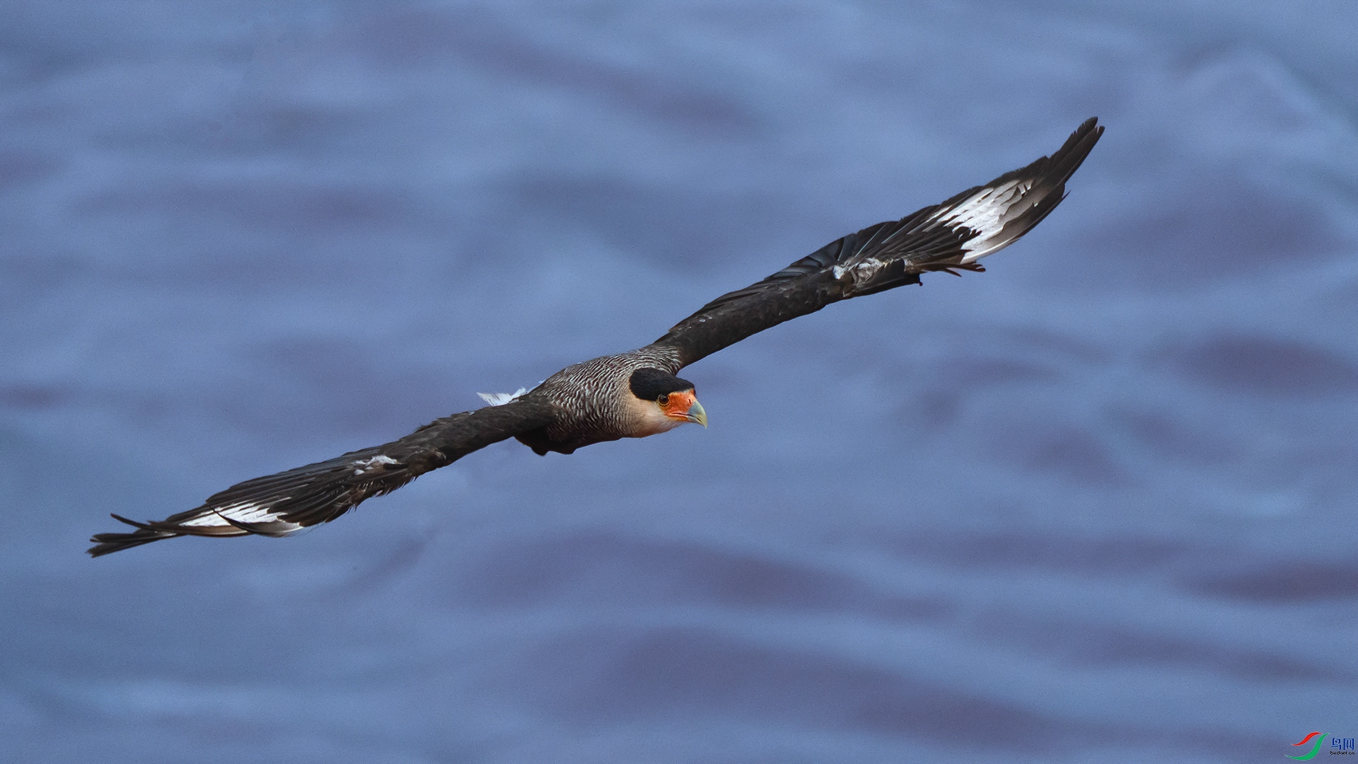 ��ͷ����