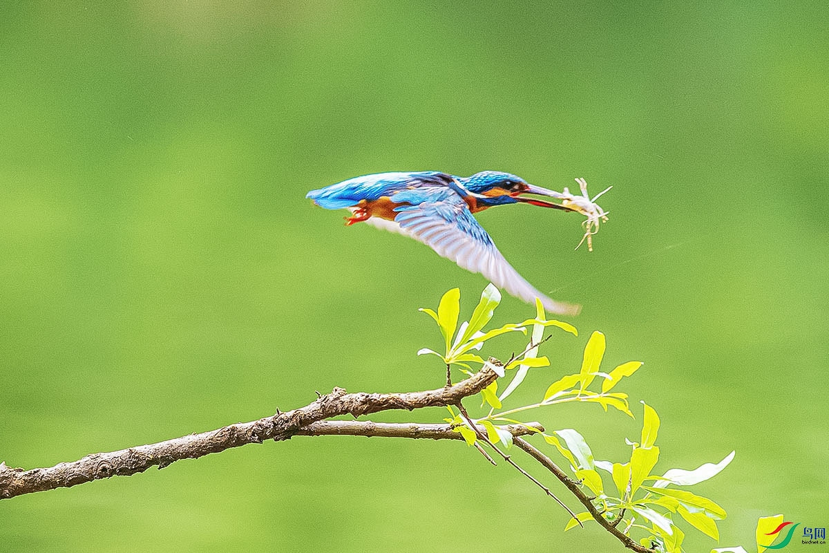 DSC_6802.jpg