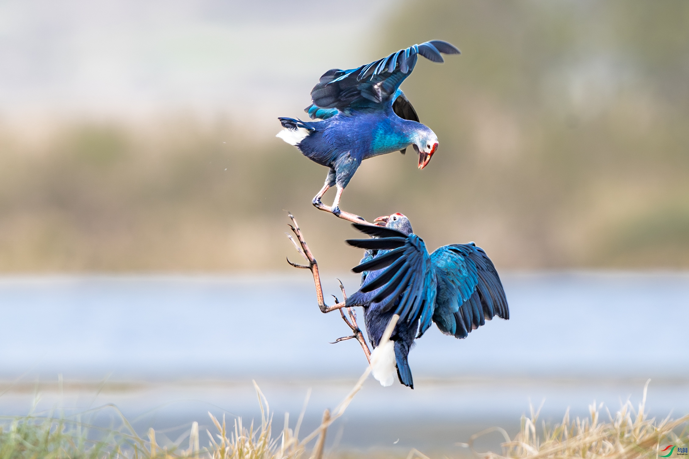 A15I1030 ����.jpg