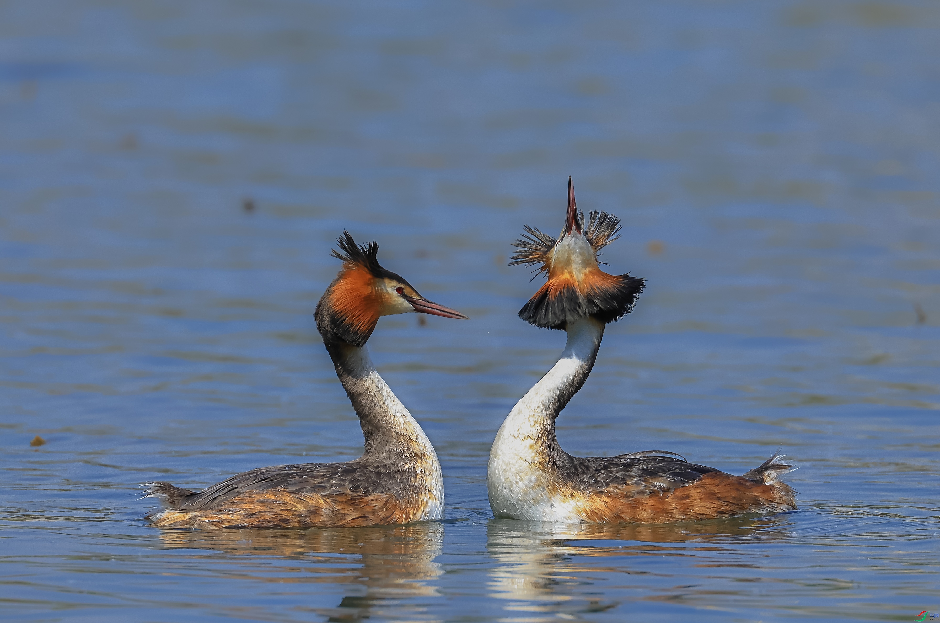 L10A0366 ����.jpg