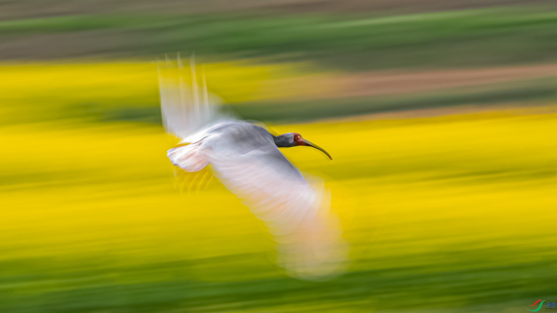 _M8A6728-����ǿ-NR.jpg