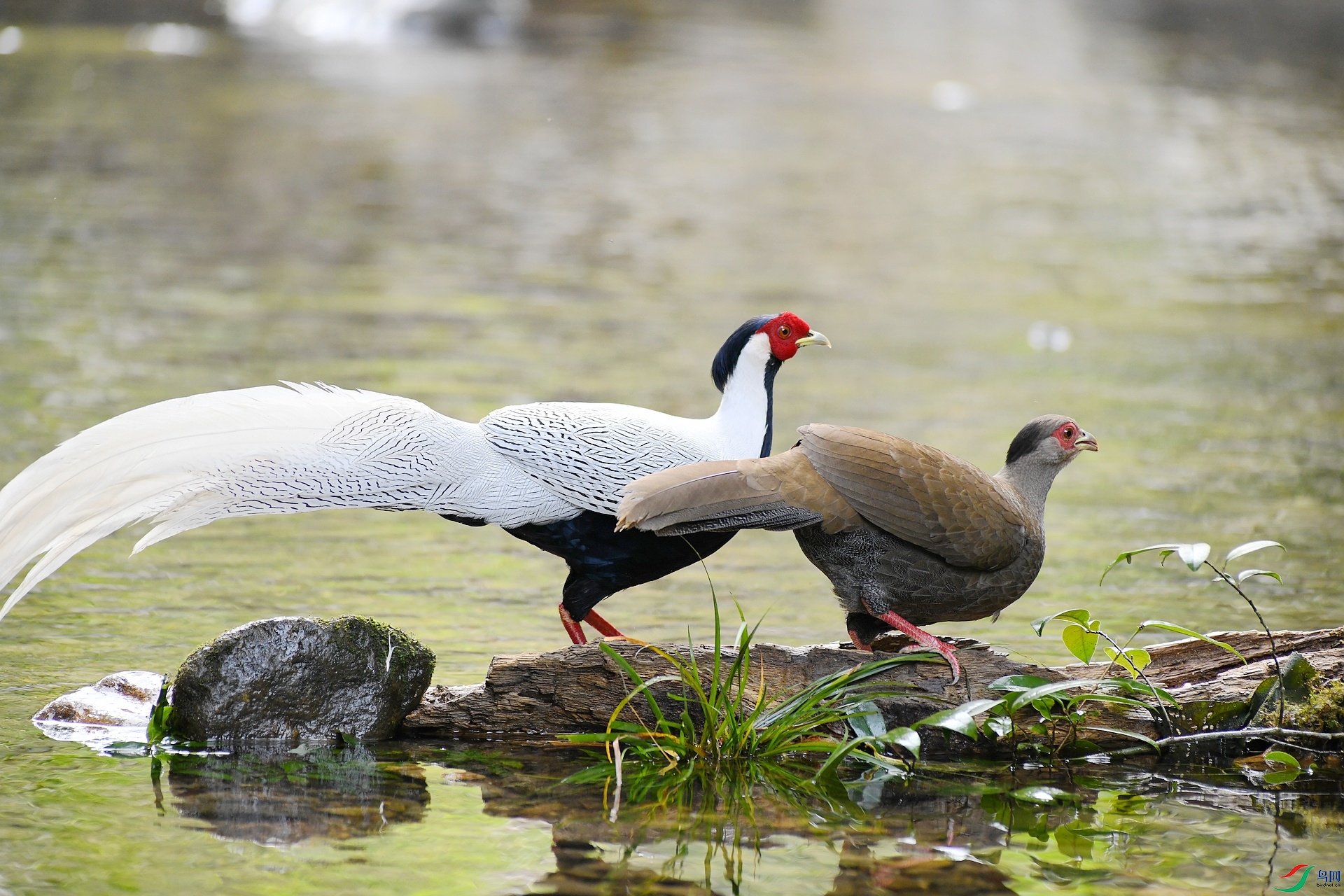 DSC_3593.jpg