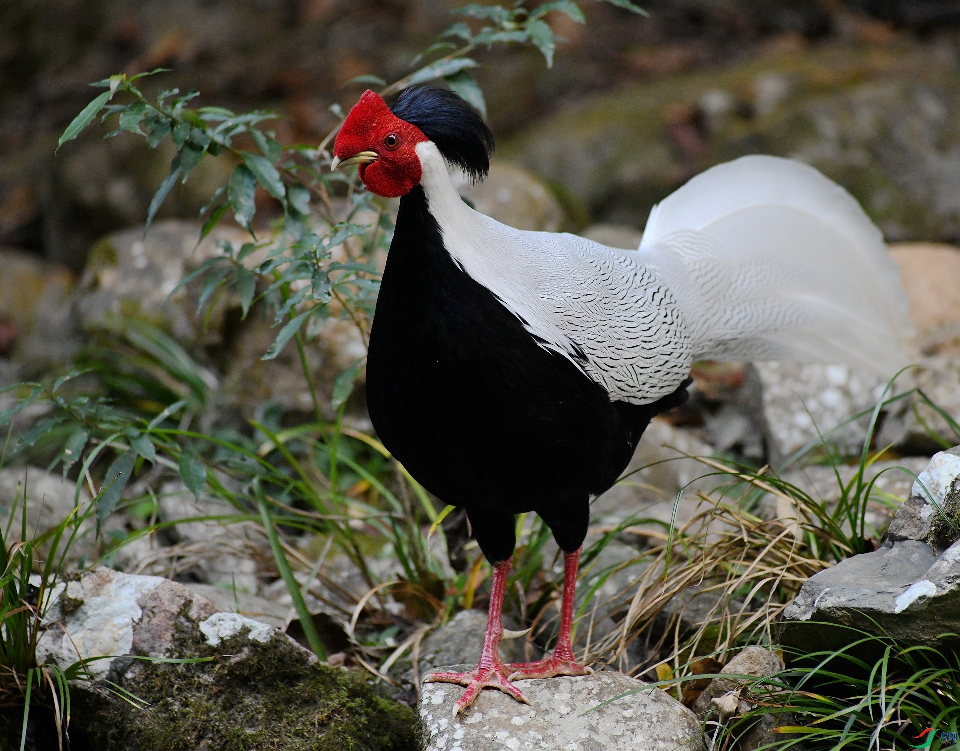 DSC_8931.jpg