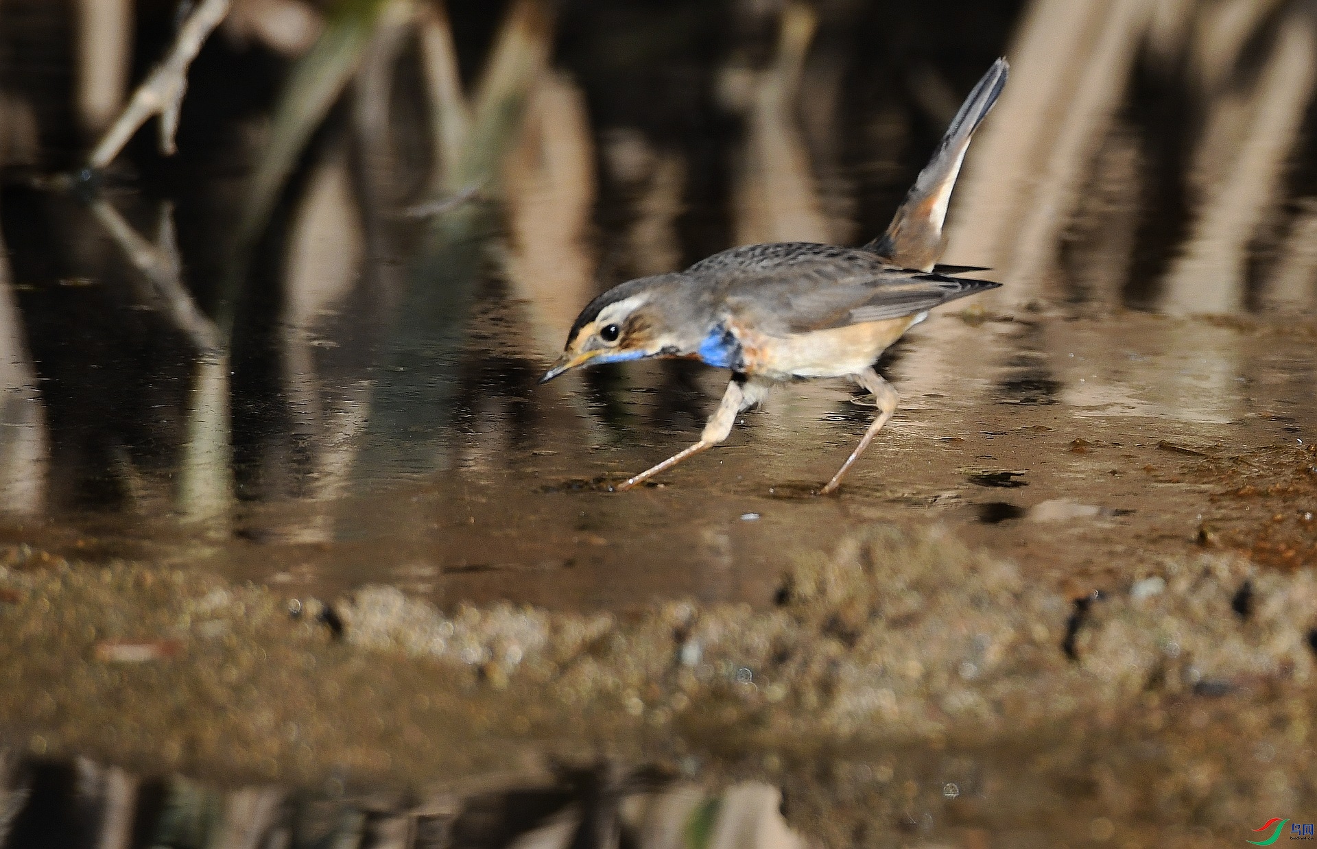DSC_5268.jpg