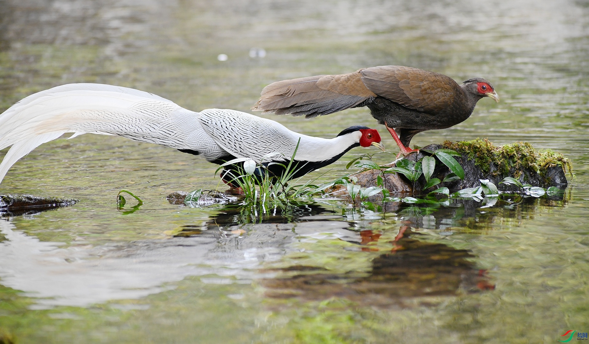 DSC_5392.jpg