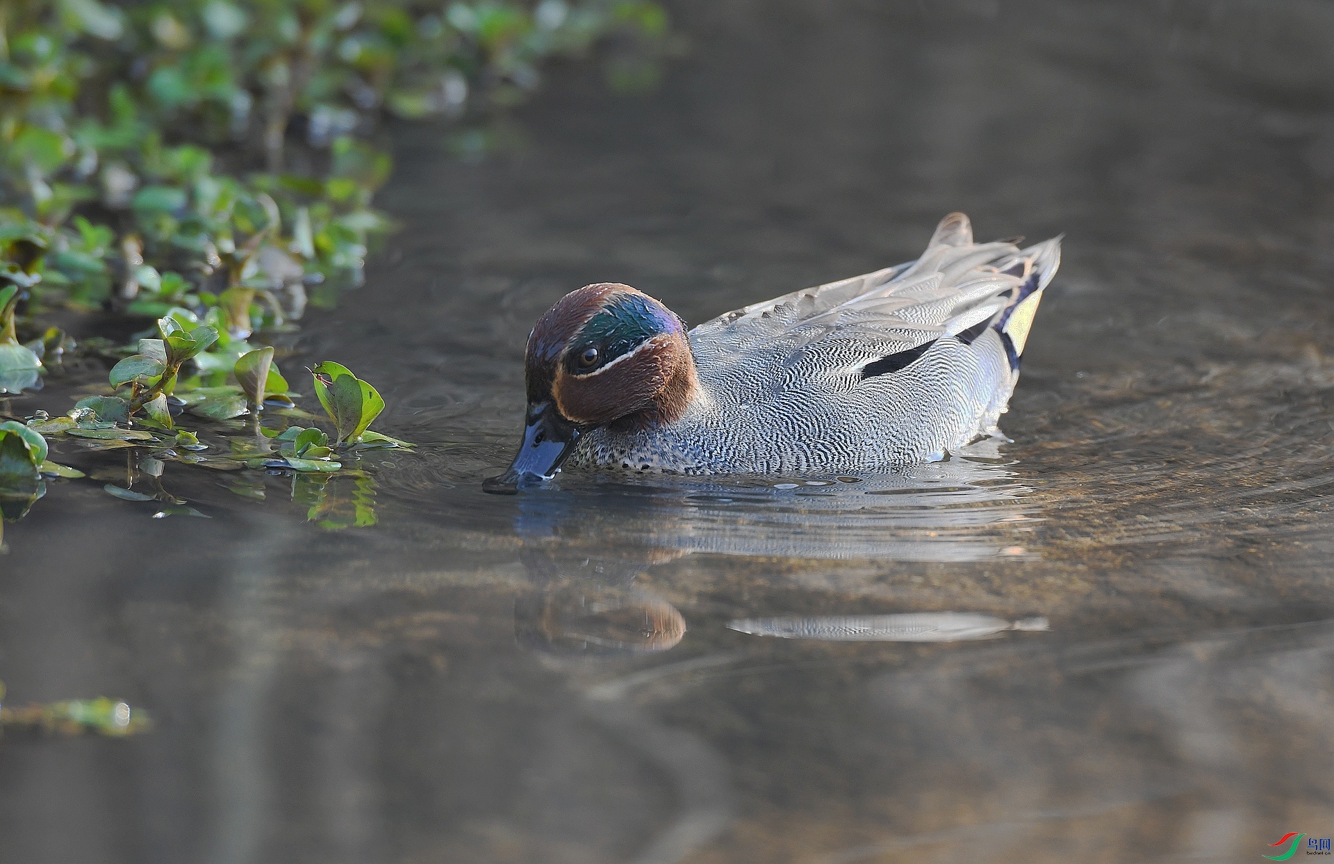 DSC_8946.jpg
