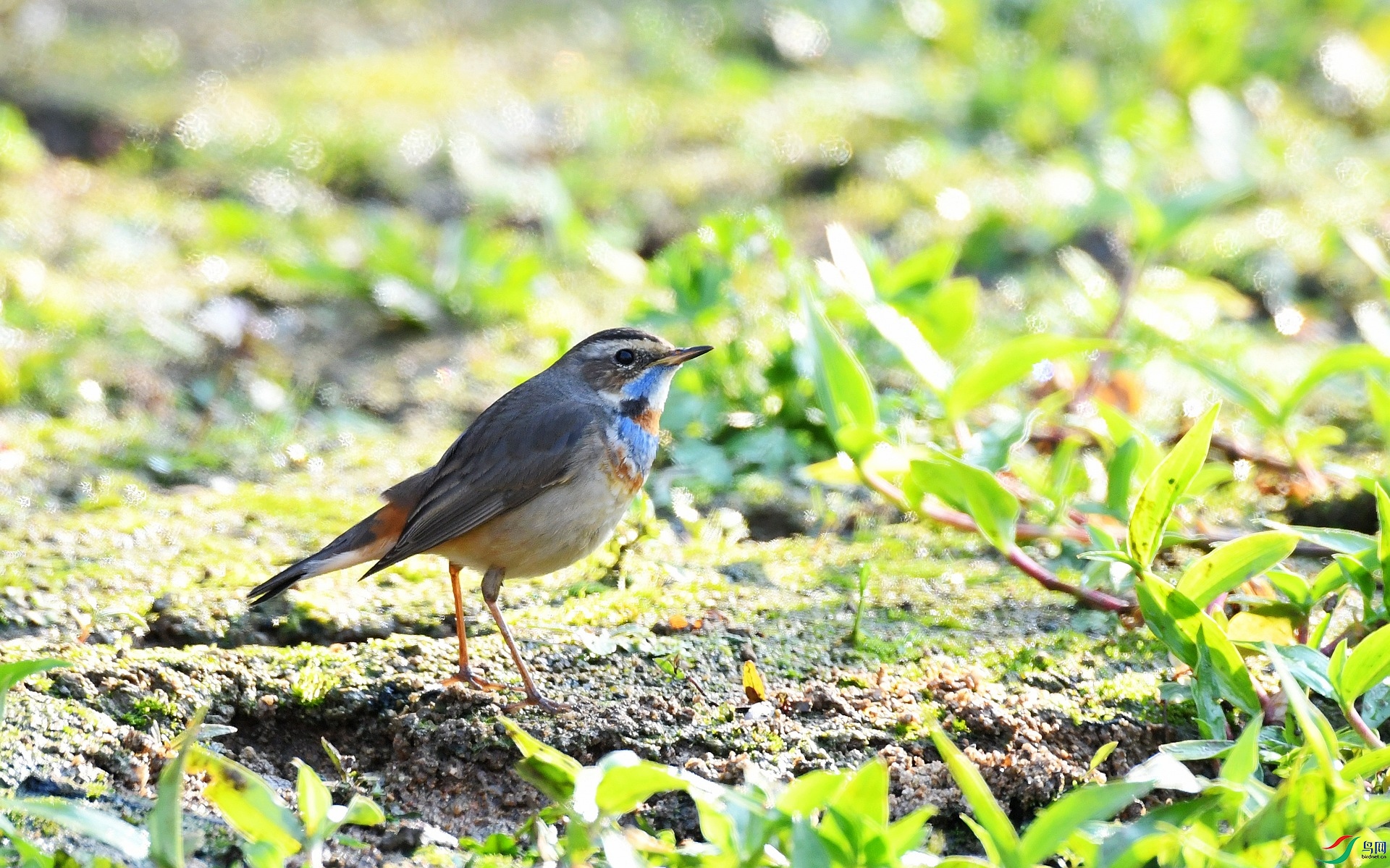 DSC_9642.jpg