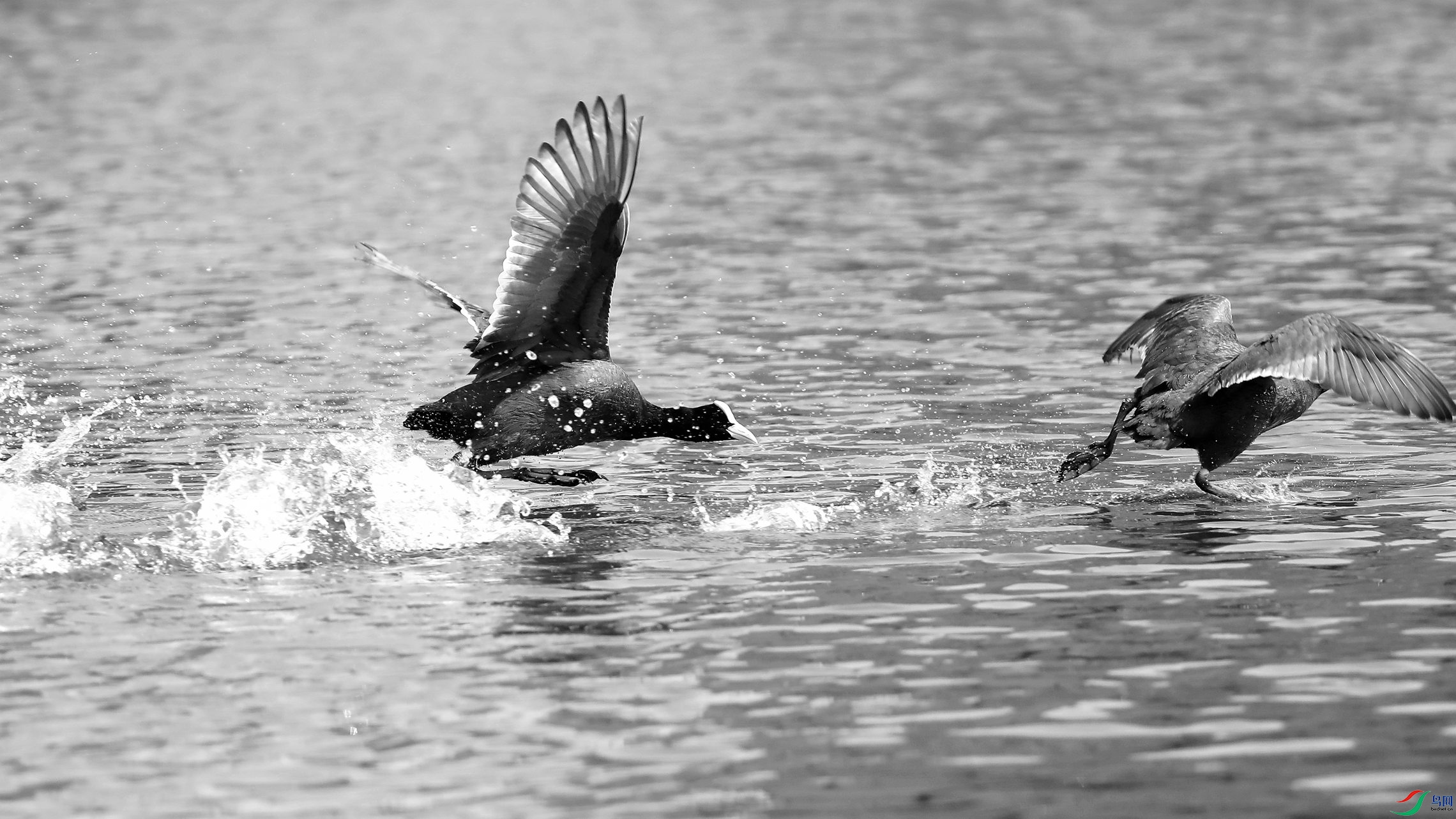 ��׷����