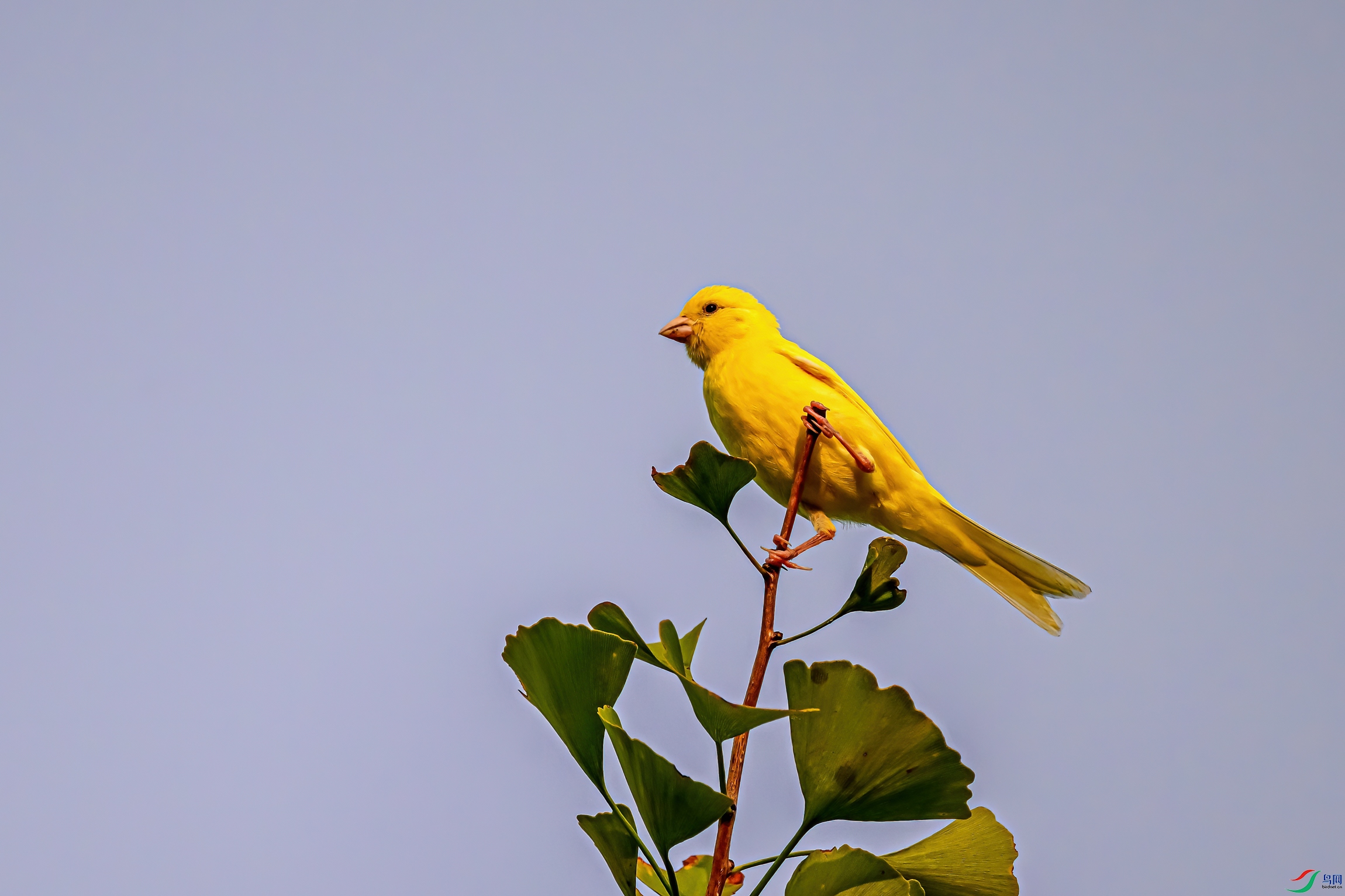 DSC_1640-11.jpg