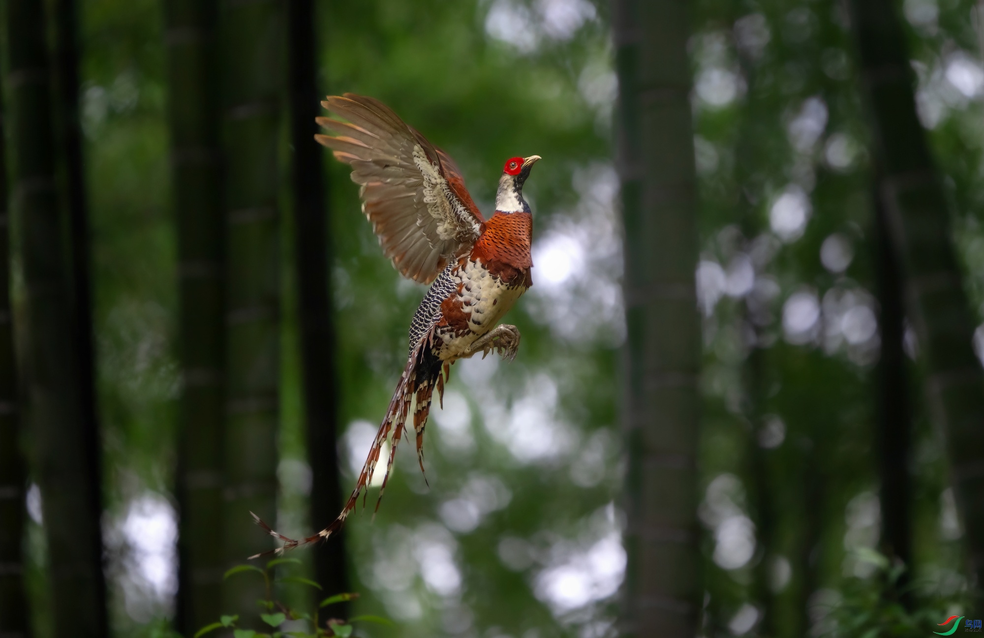 _DSC6651 ����-01.jpeg