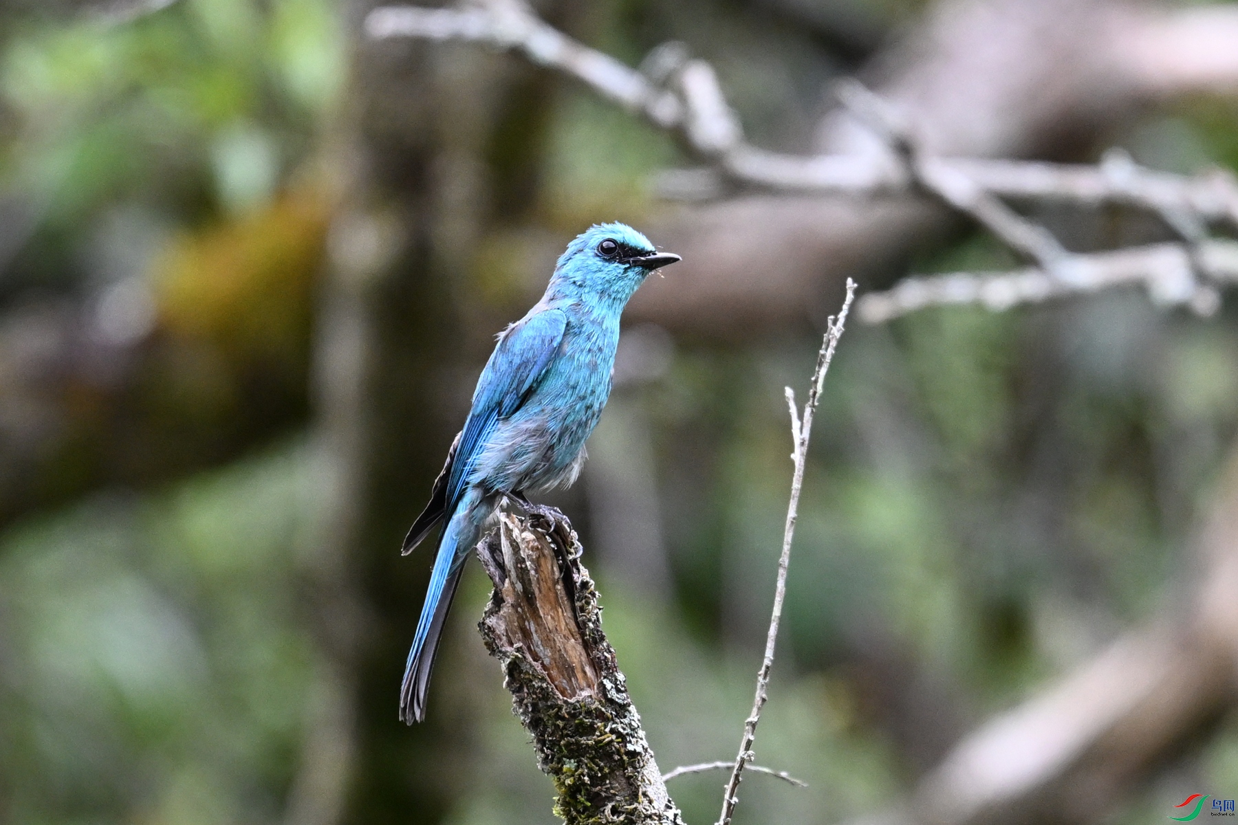 DSC_3402.JPG