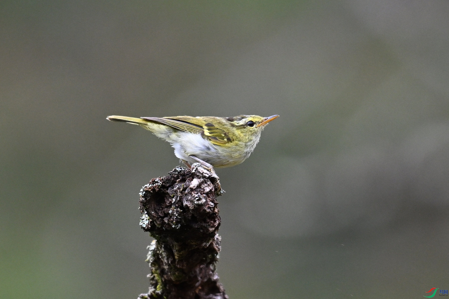 DSC_3457.JPG