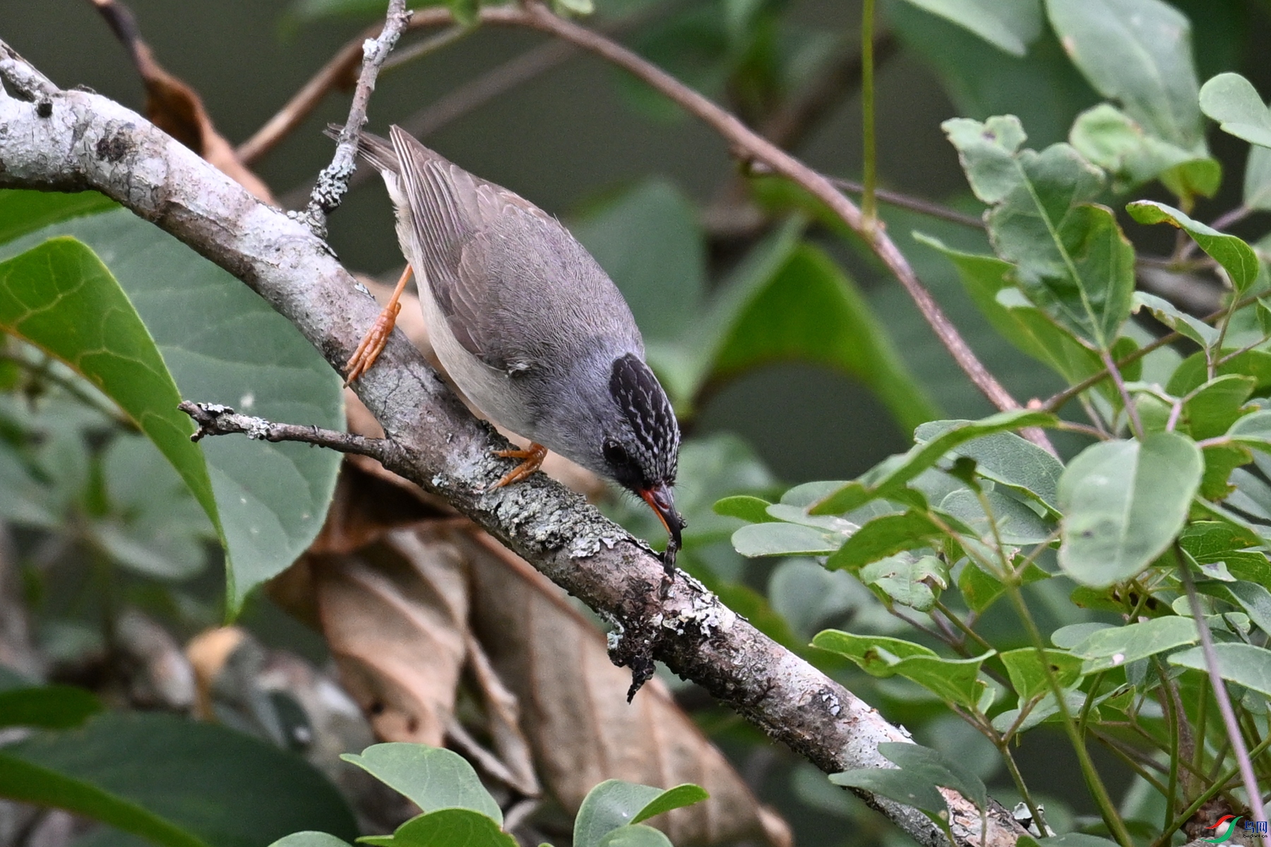 DSC_3415.JPG