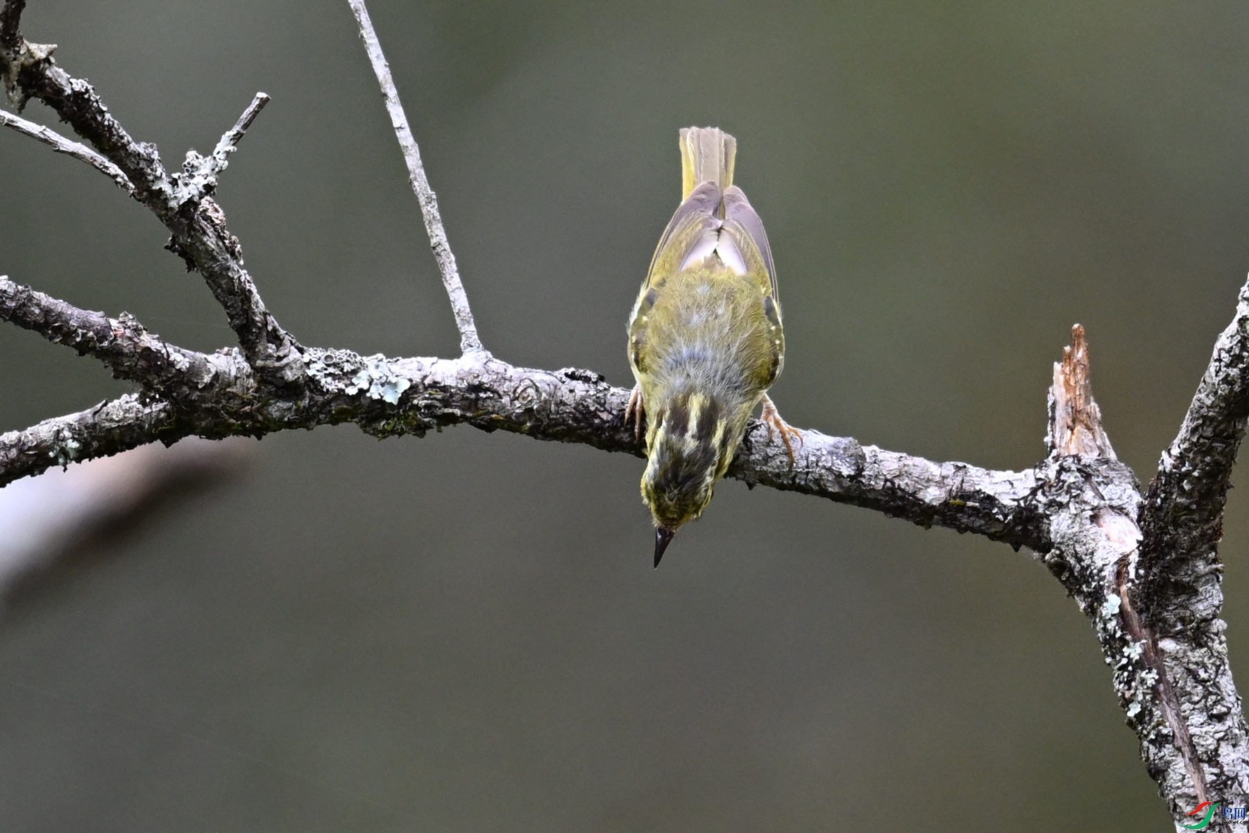 DSC_3427.JPG