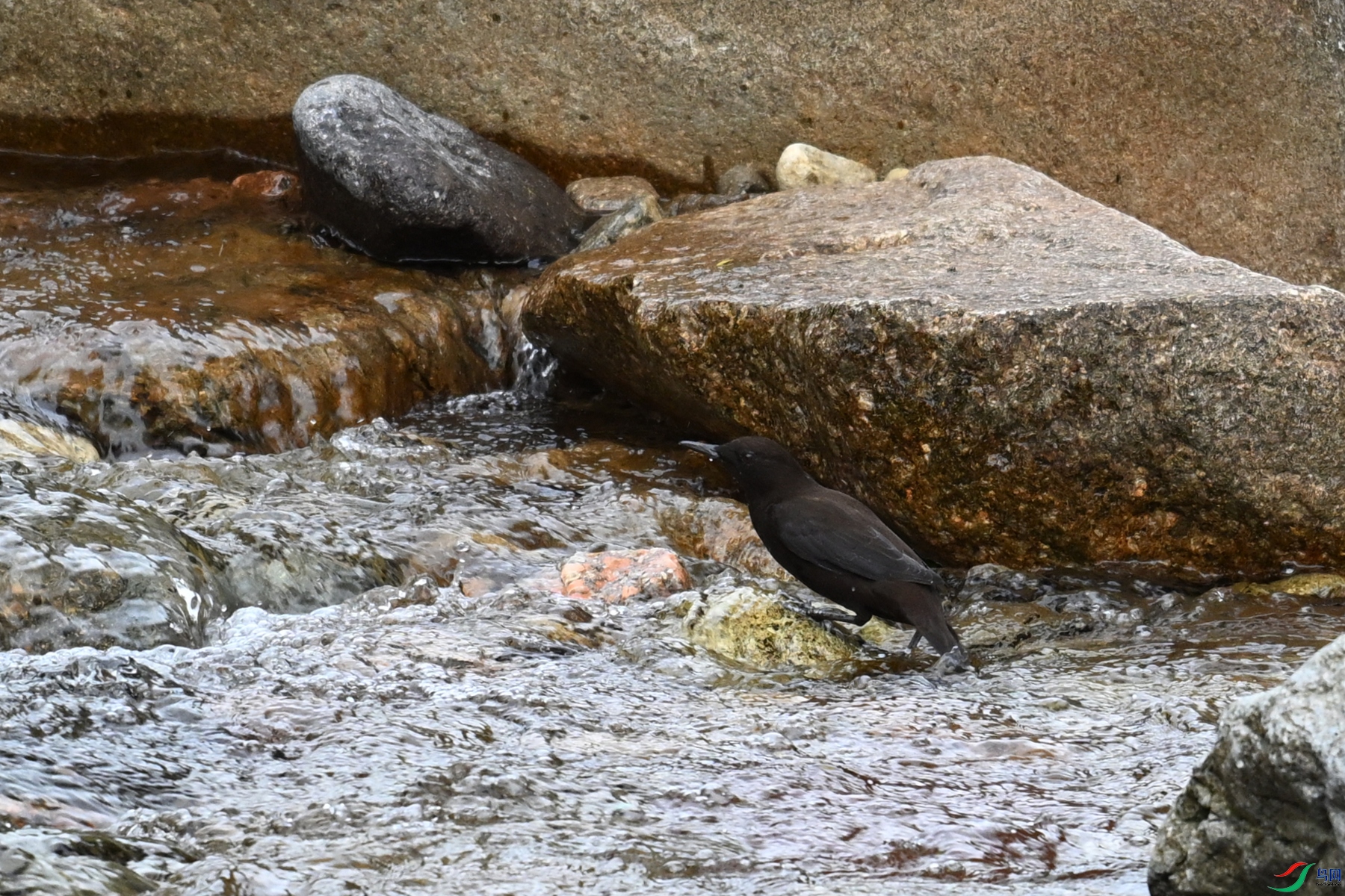 DSC_3478.JPG