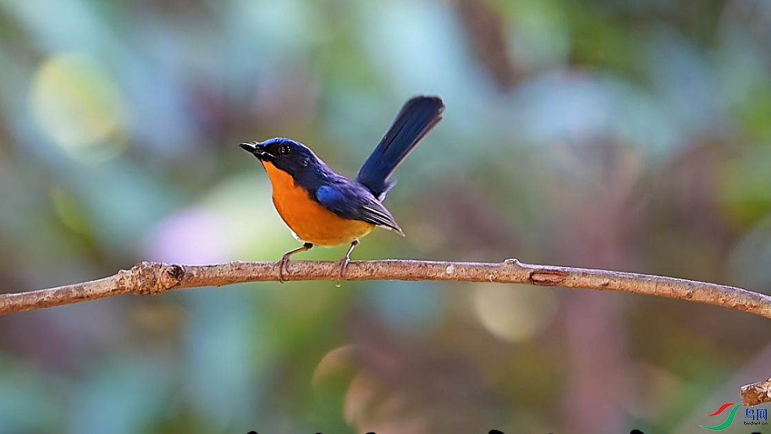 {A183DA48-B787-4917-A53B-6E42FBEA911E} ����.jpg