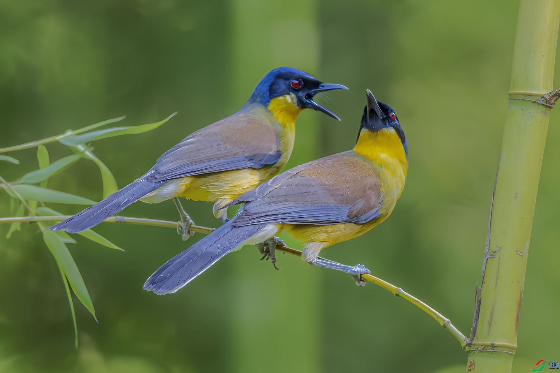 AF3I2873-����ǿ-NR ���� 2.jpg