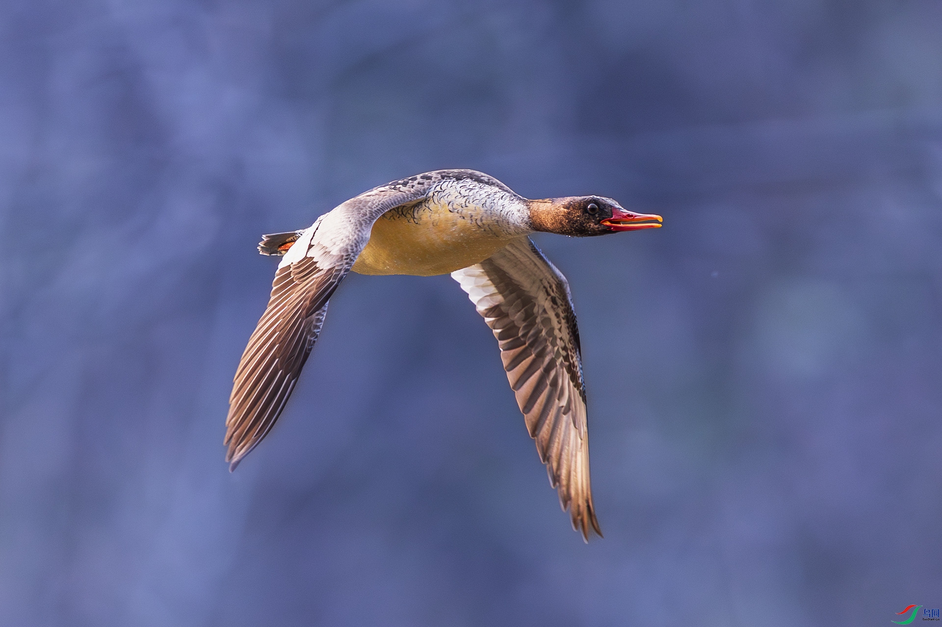 _F9A0803 ����.jpg