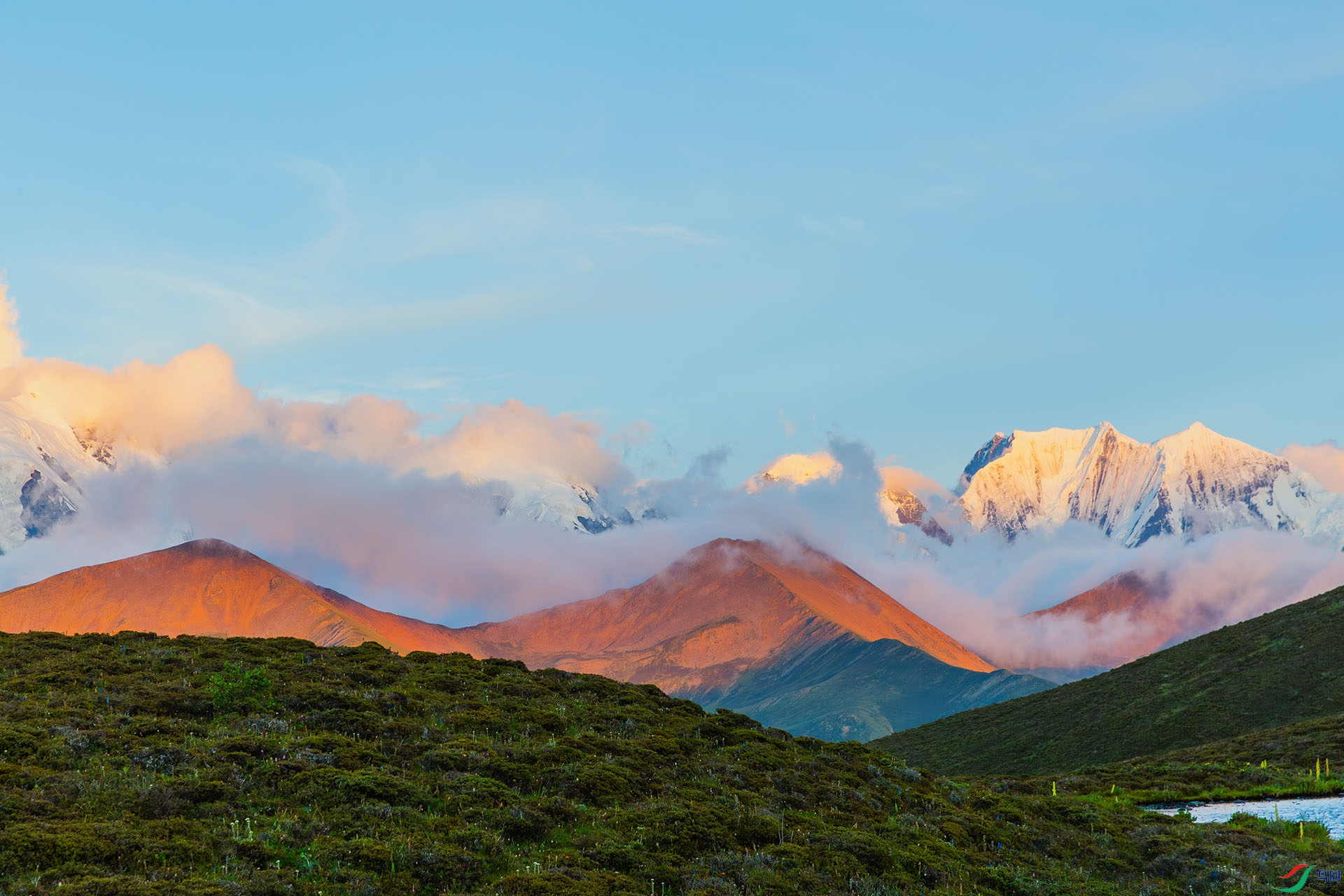 1J9A3107-����ǿ-NR ����.jpg