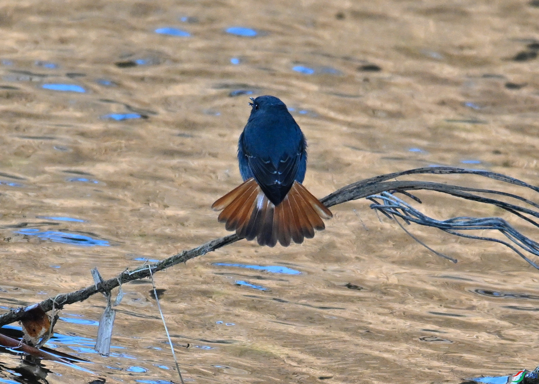 DSC_3902.JPG