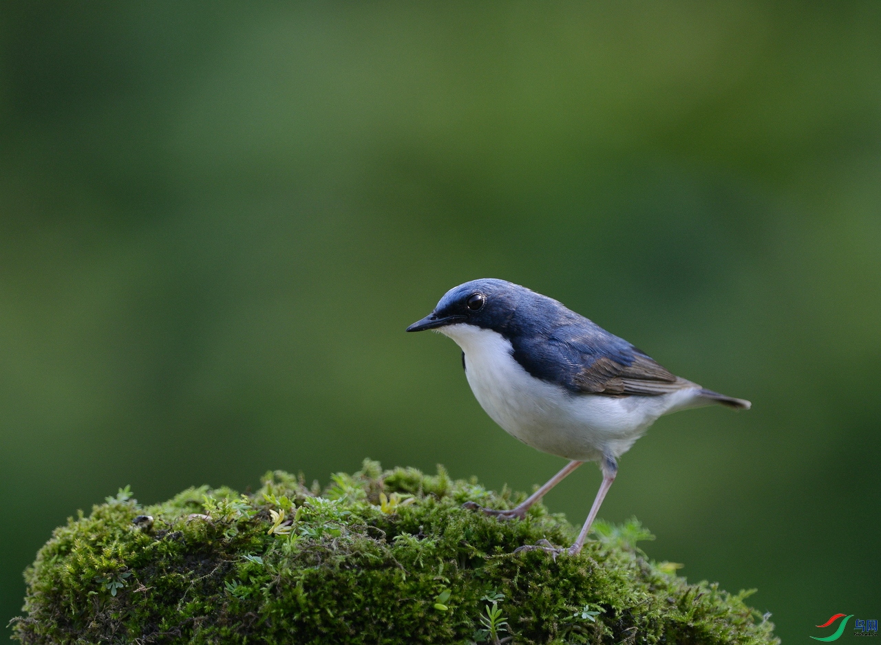 DSC_4741.jpg