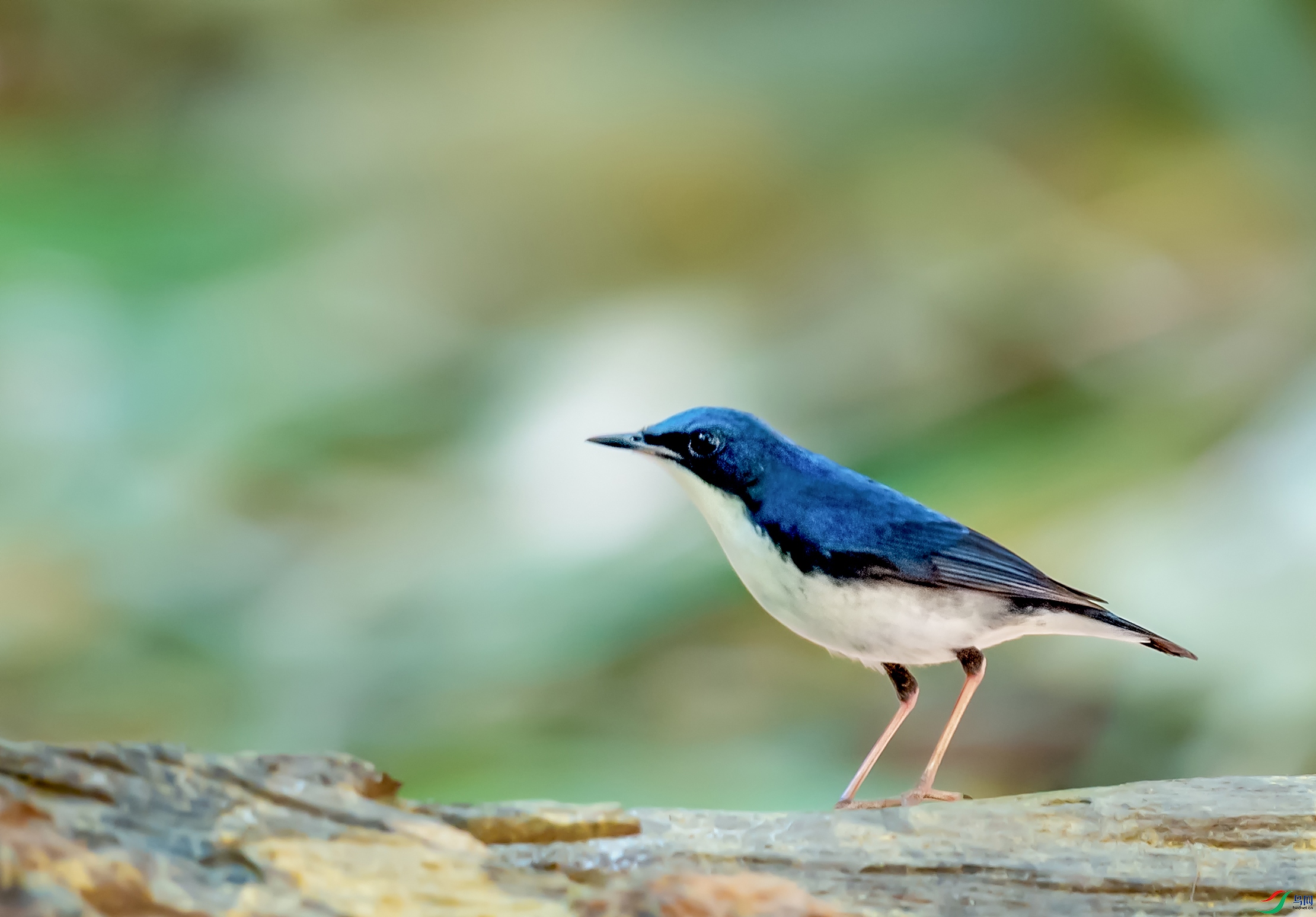 DSC_7557-1.jpg