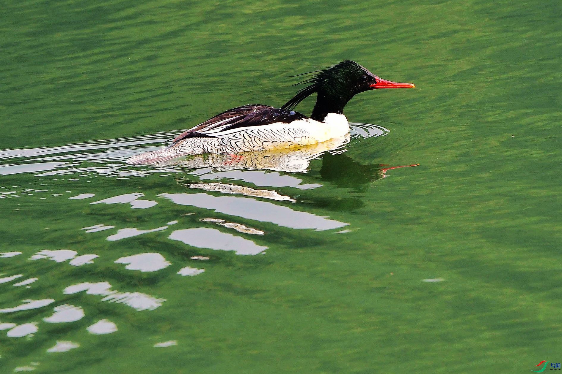 DSC_4179_����.jpg