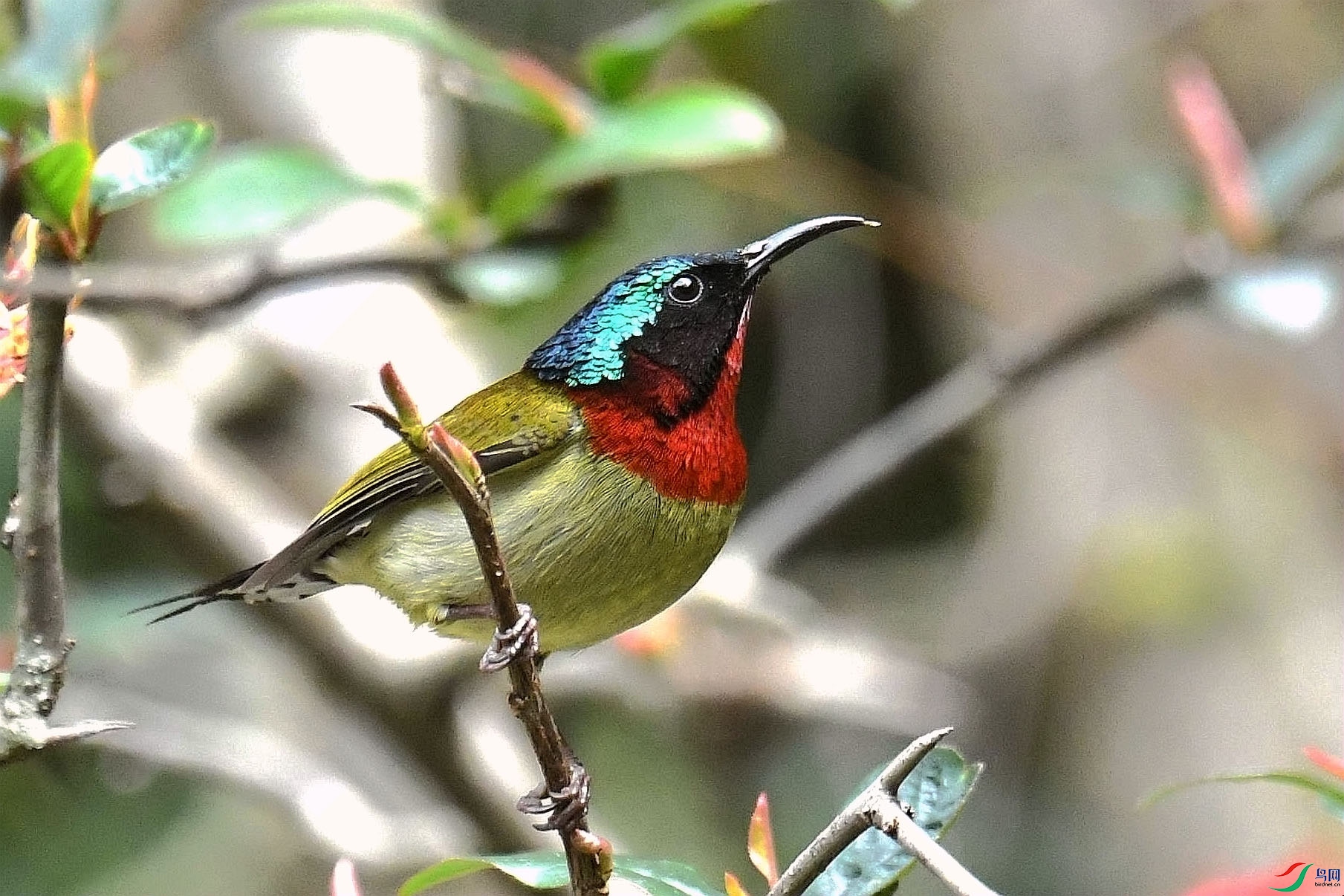 DSC_6381_����.jpg