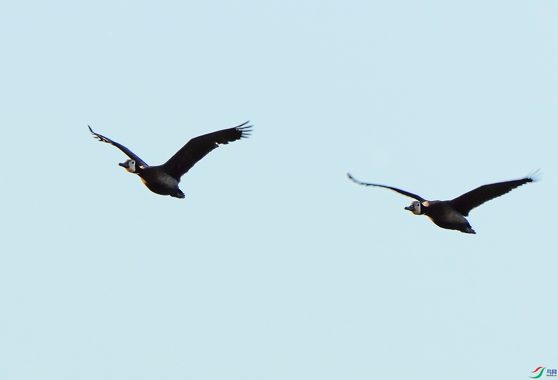 DSC03710-7x.jpg