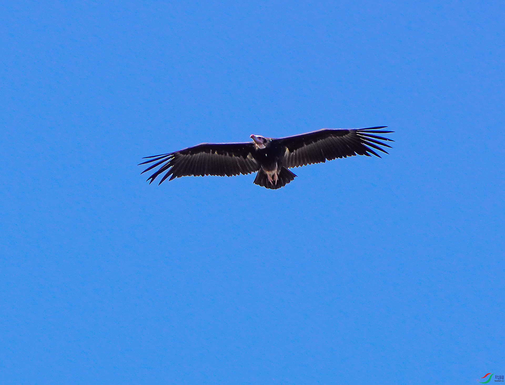DSC05491-6x.jpg