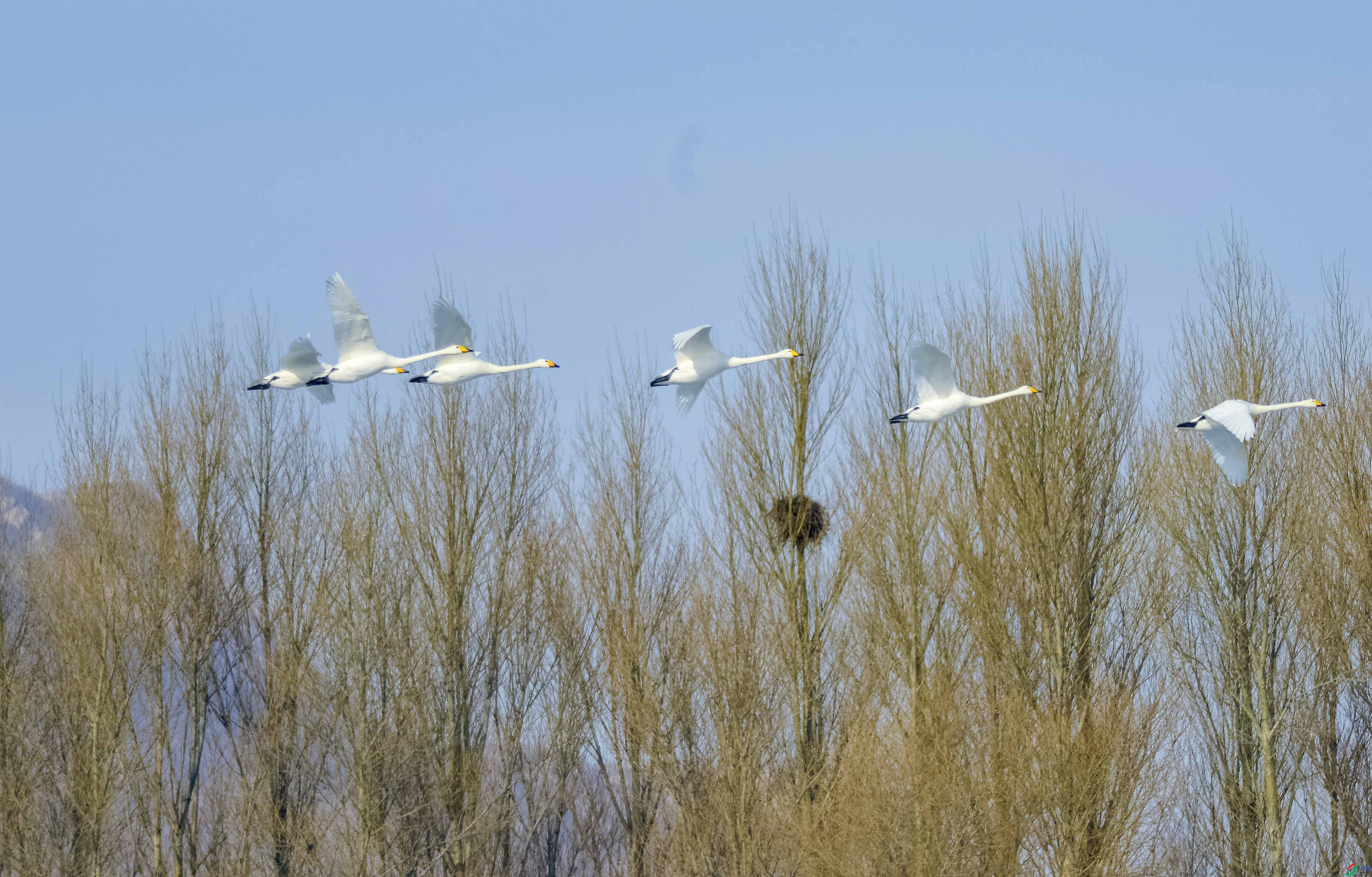 DSC_6833.jpg