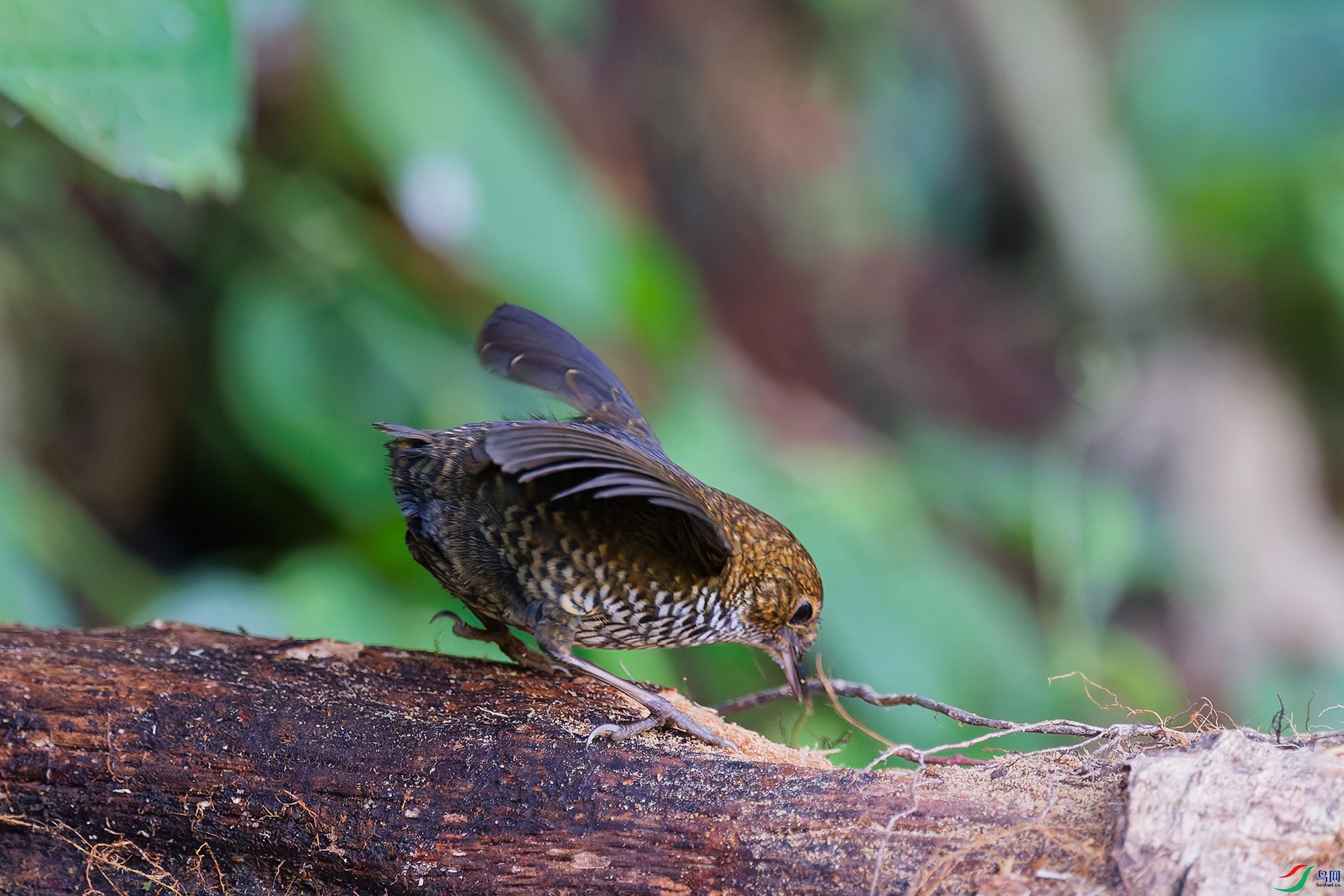 DSC_3175_DxO_DxOa.jpg