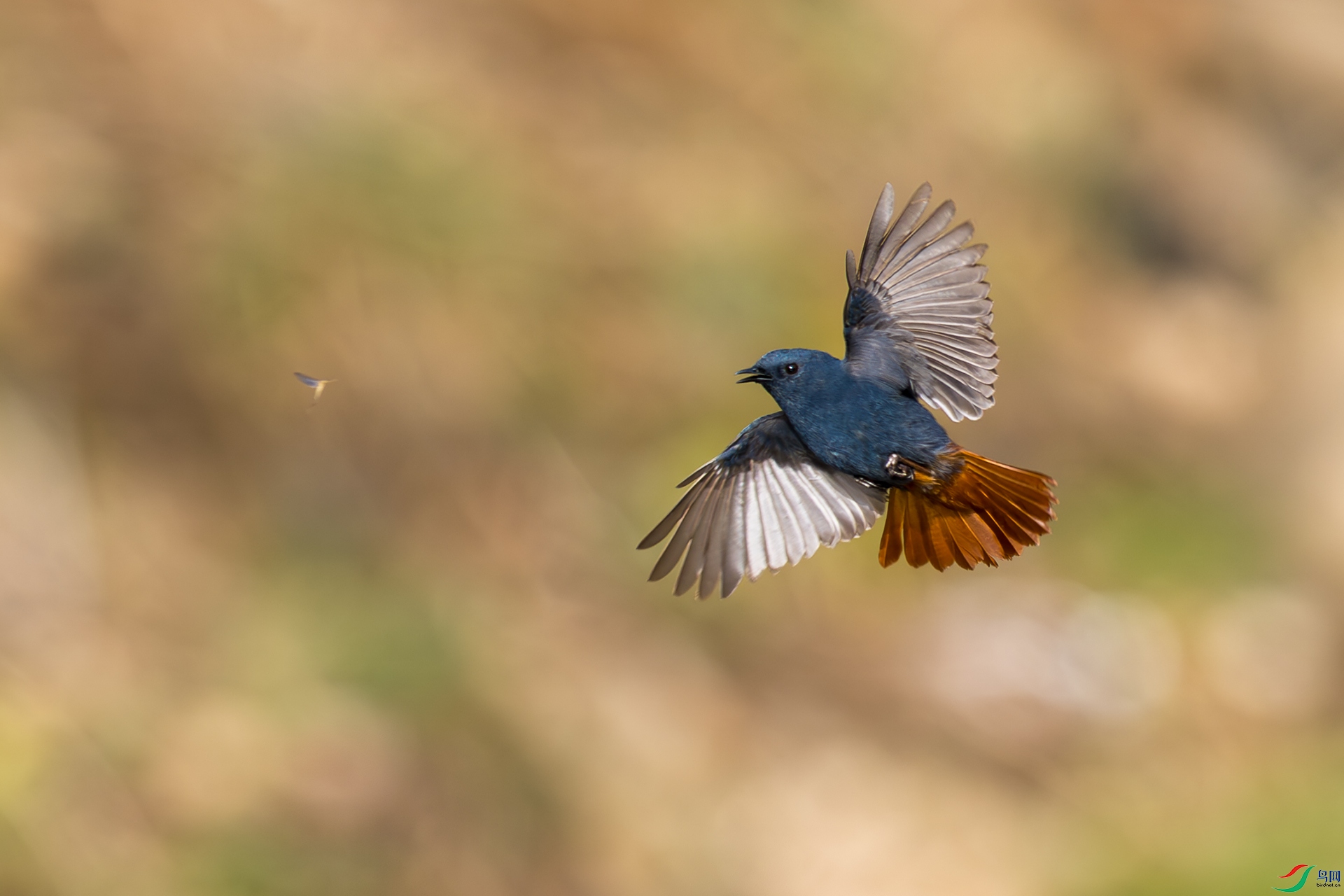 _F9A5912 ����.jpg