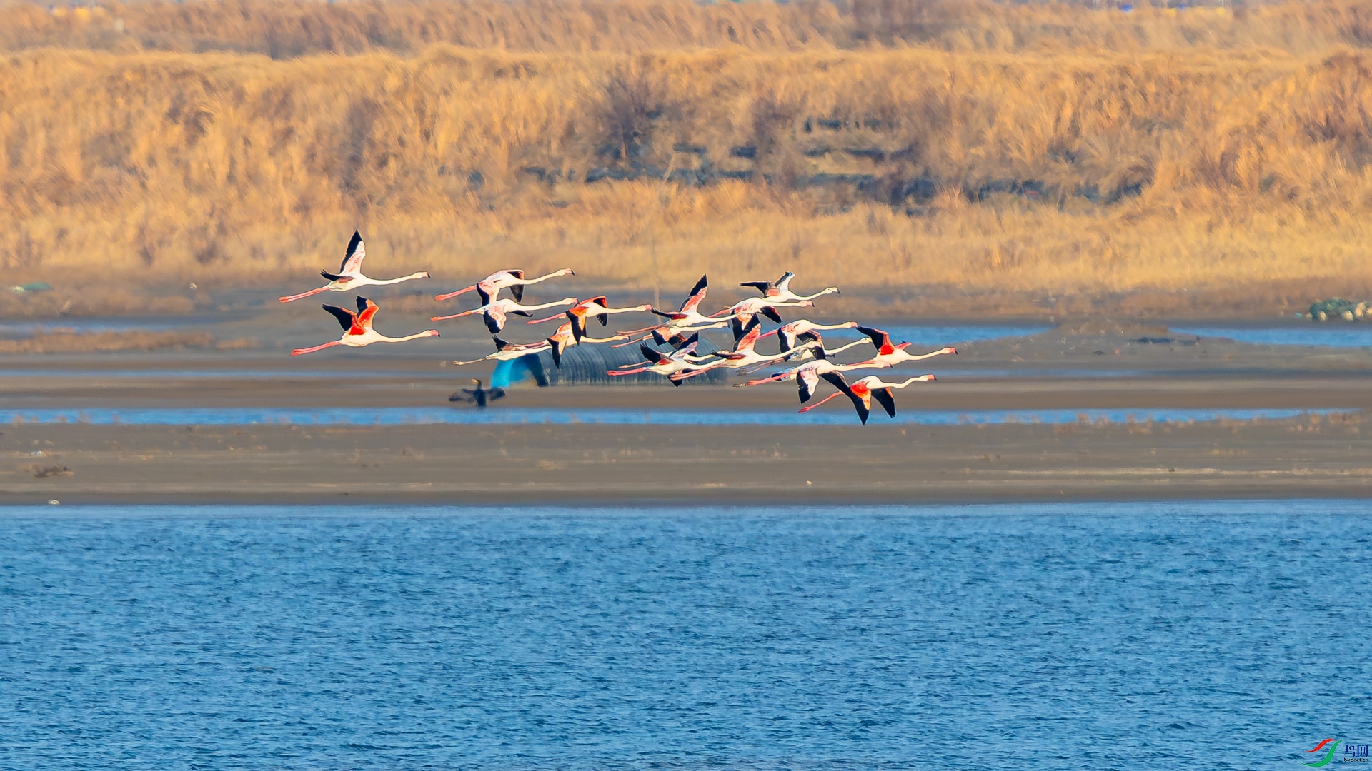 _D5A7358.jpg