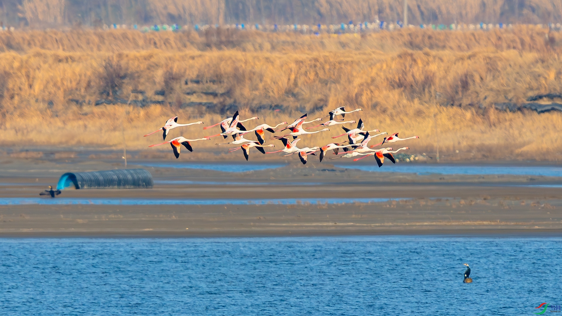 _D5A7370.jpg