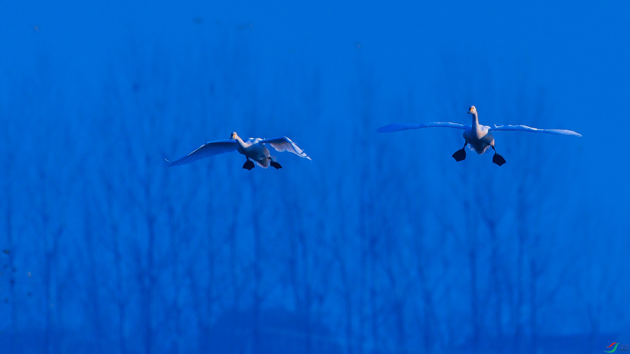 DSC_5127.jpg