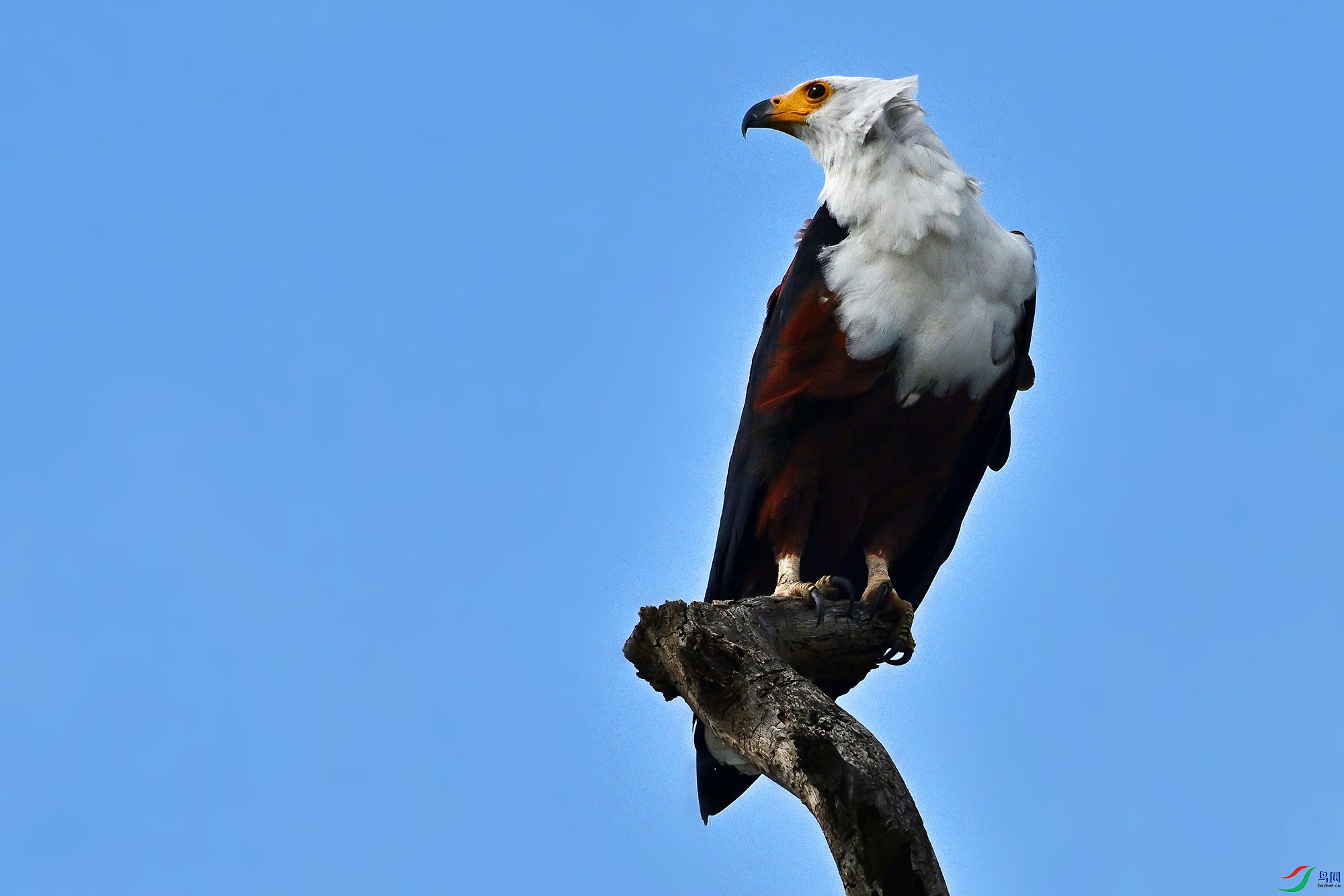 DSC_6168_.jpg