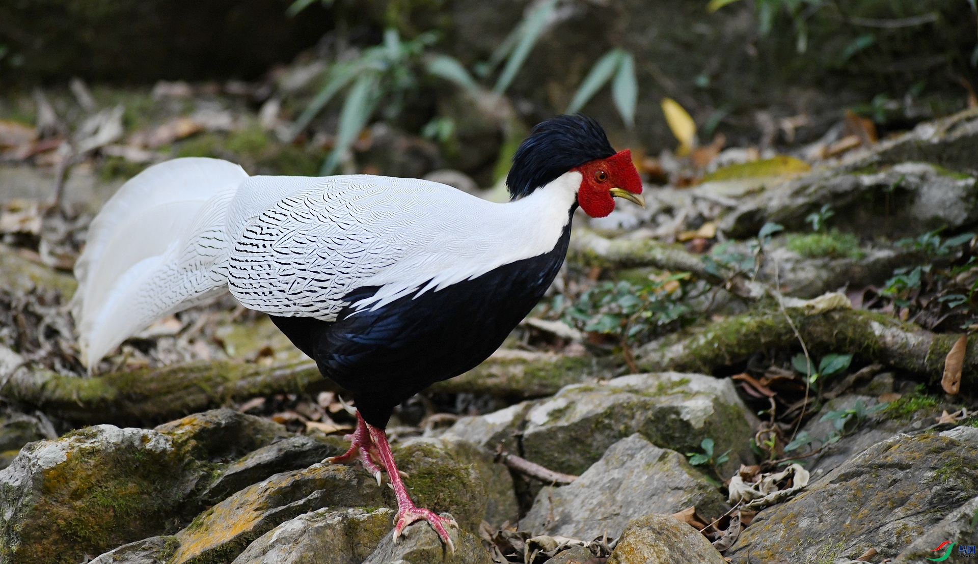 DSC_8491.jpg