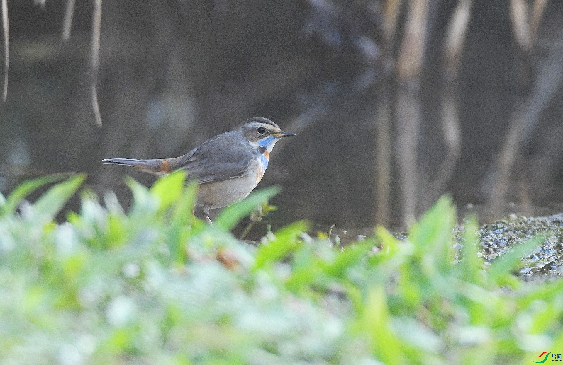 DSC_9260.jpg