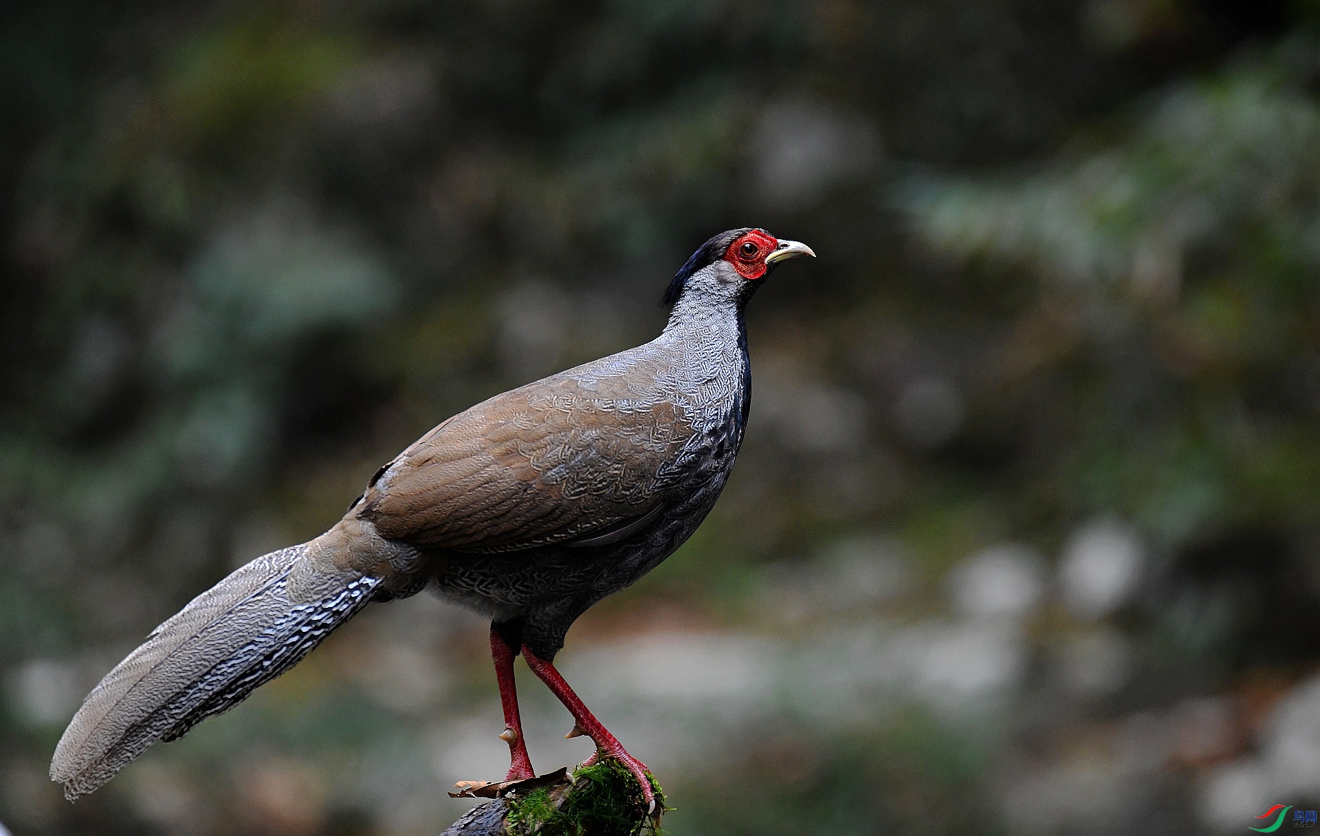 DSC_9996.jpg