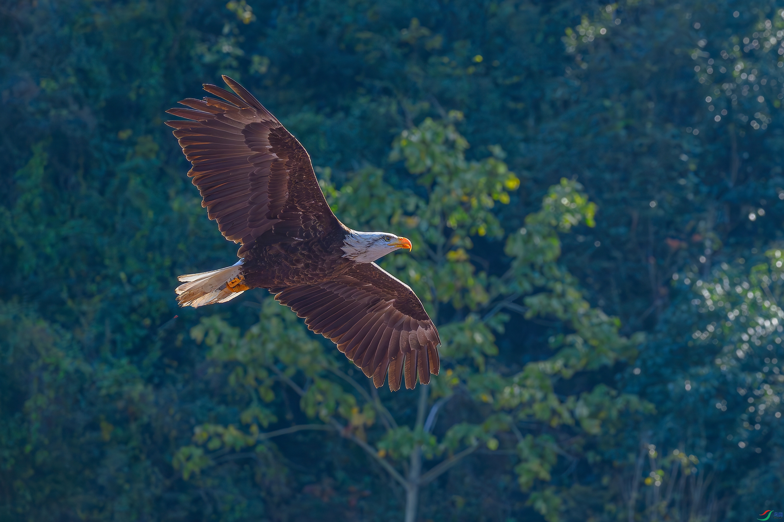 DSC_9038AB.jpg